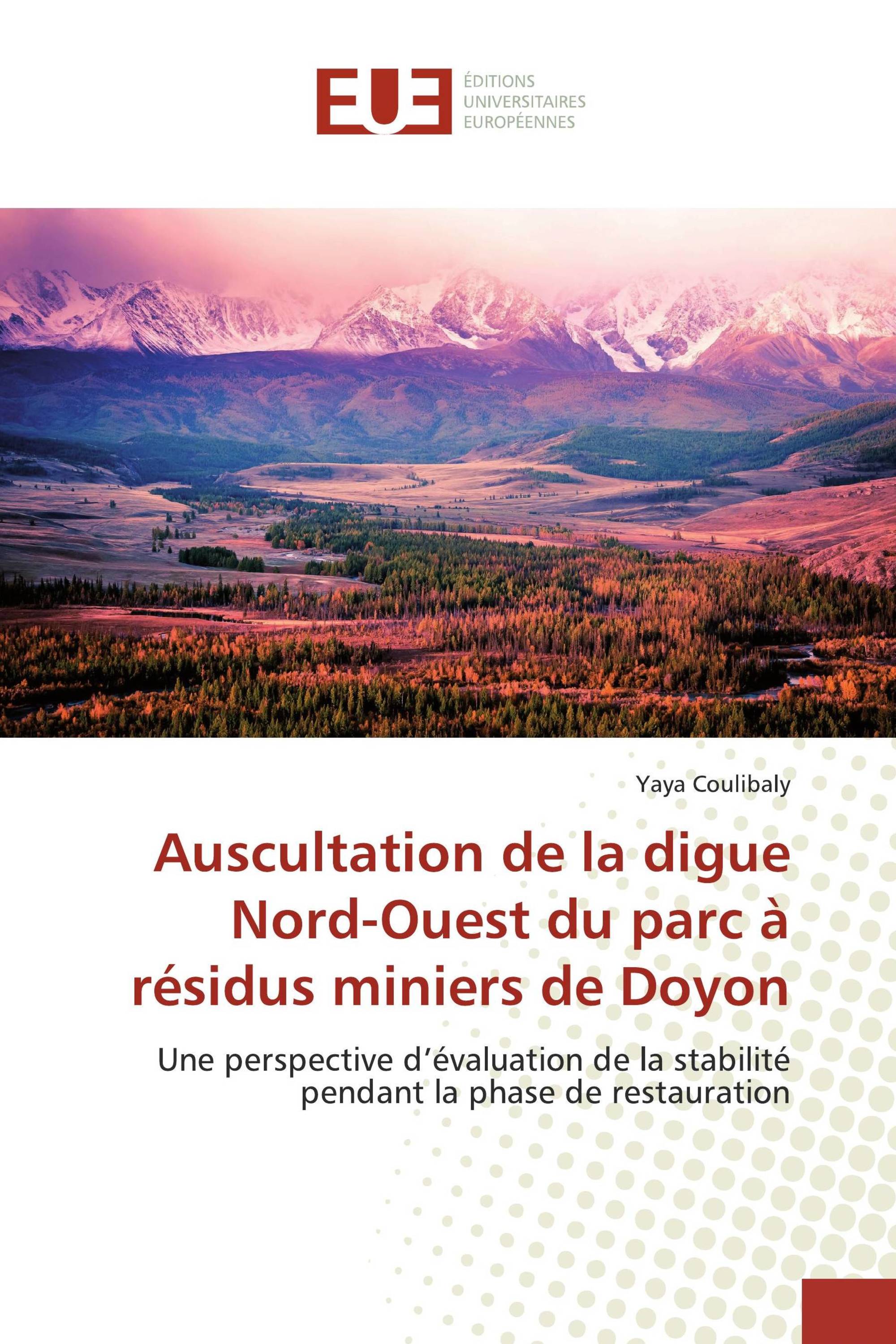 Auscultation de la digue Nord-Ouest du parc à résidus miniers de Doyon