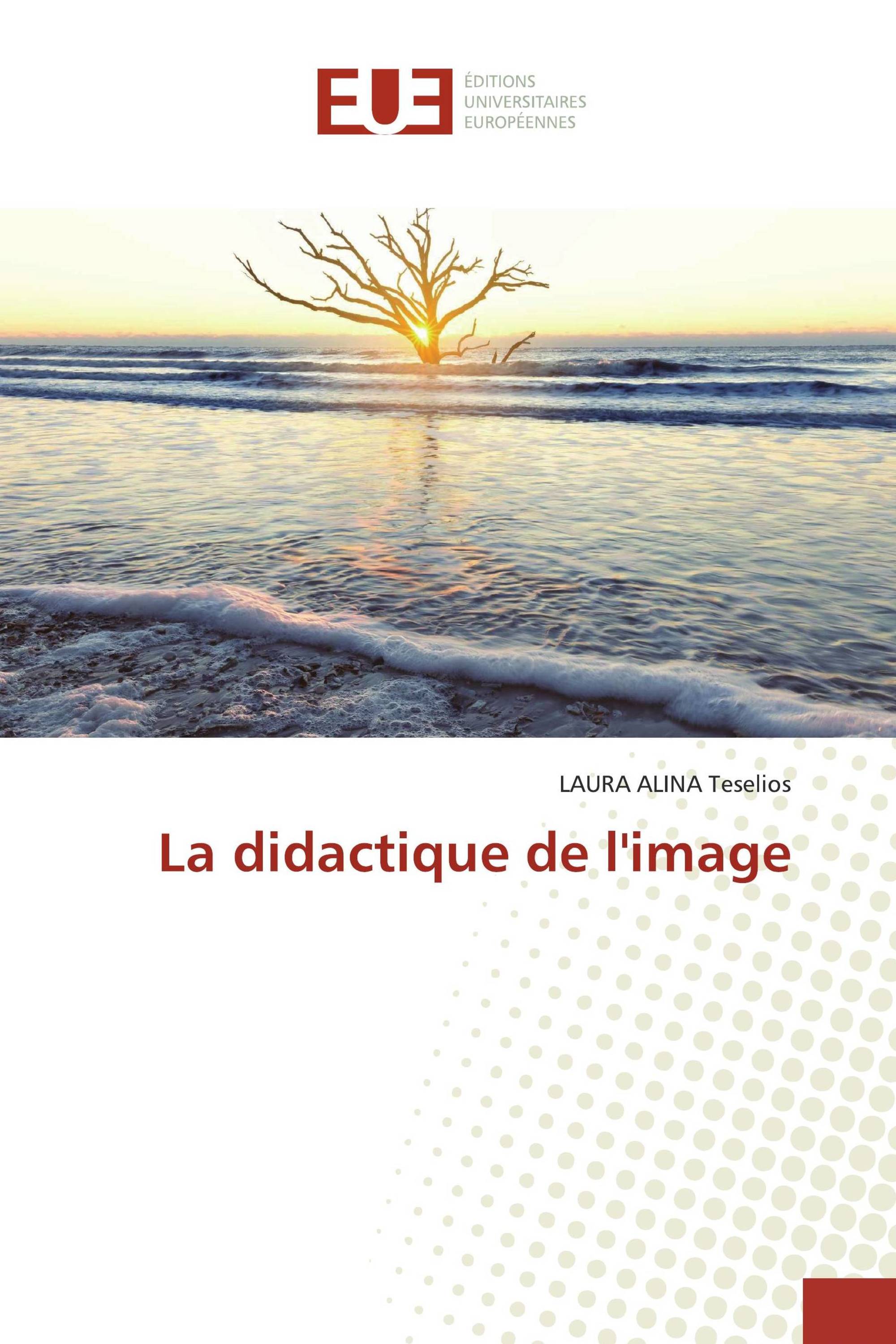 La didactique de l'image