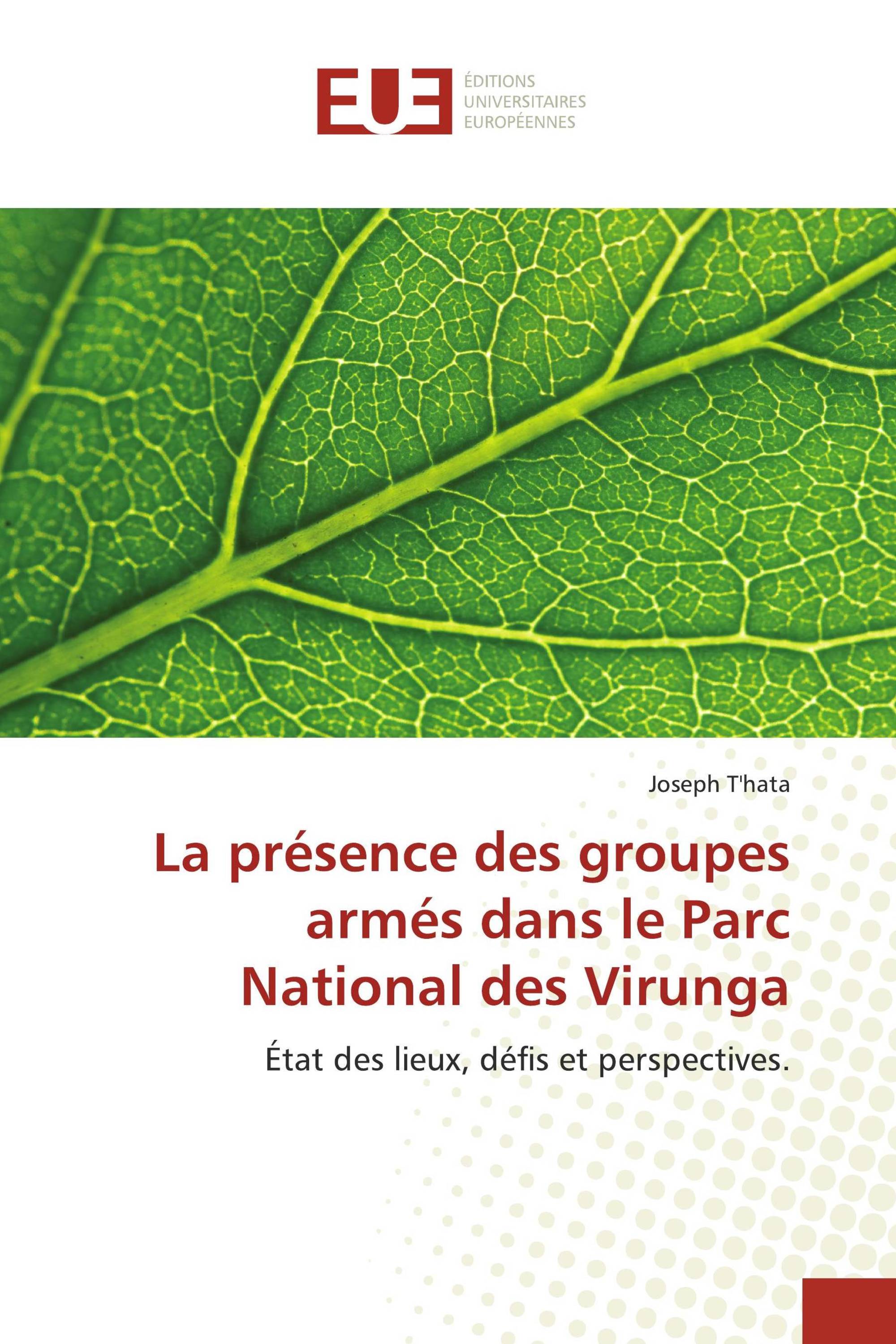 La présence des groupes armés dans le Parc National des Virunga