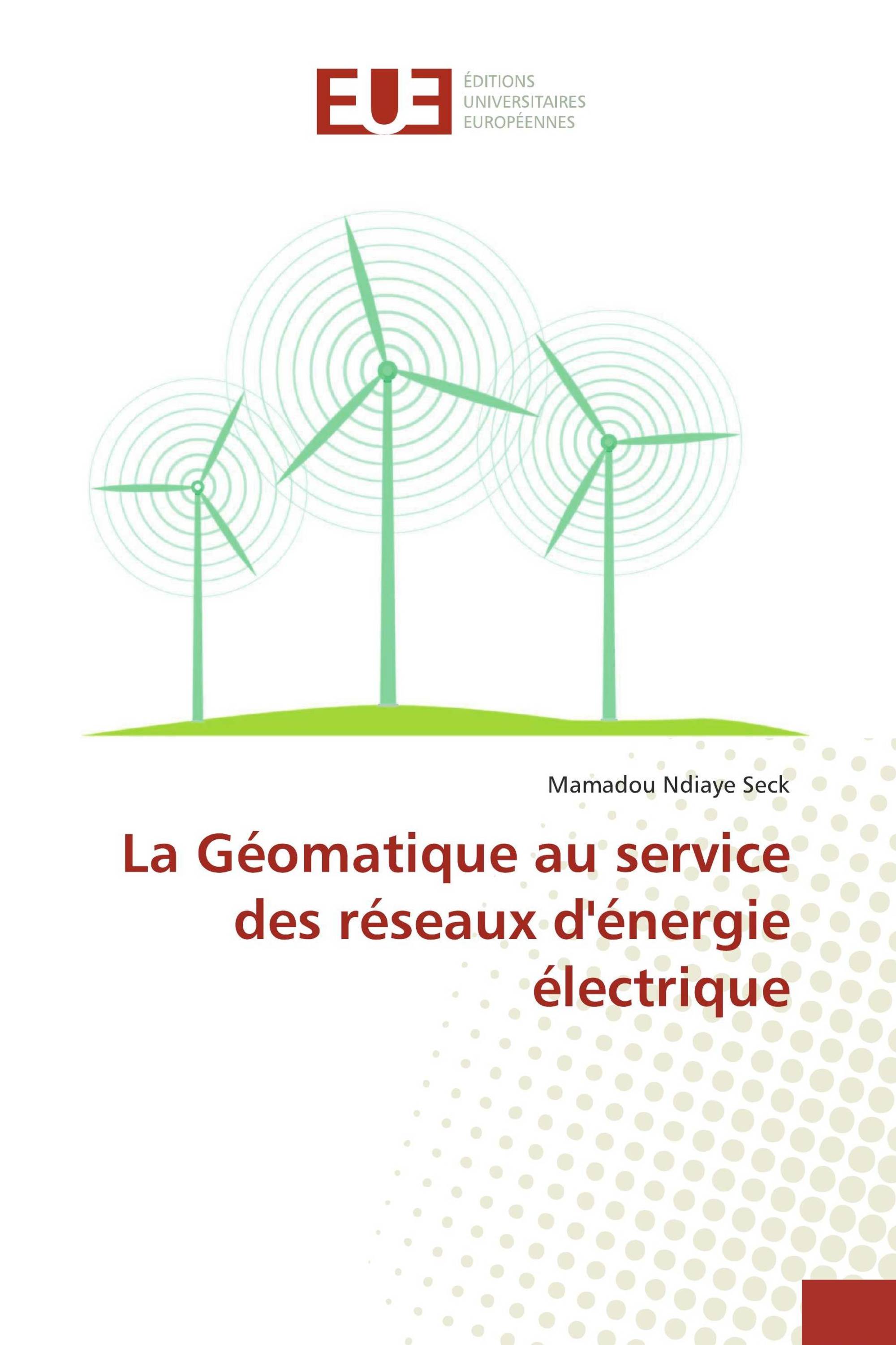 La Géomatique au service des réseaux d'énergie électrique