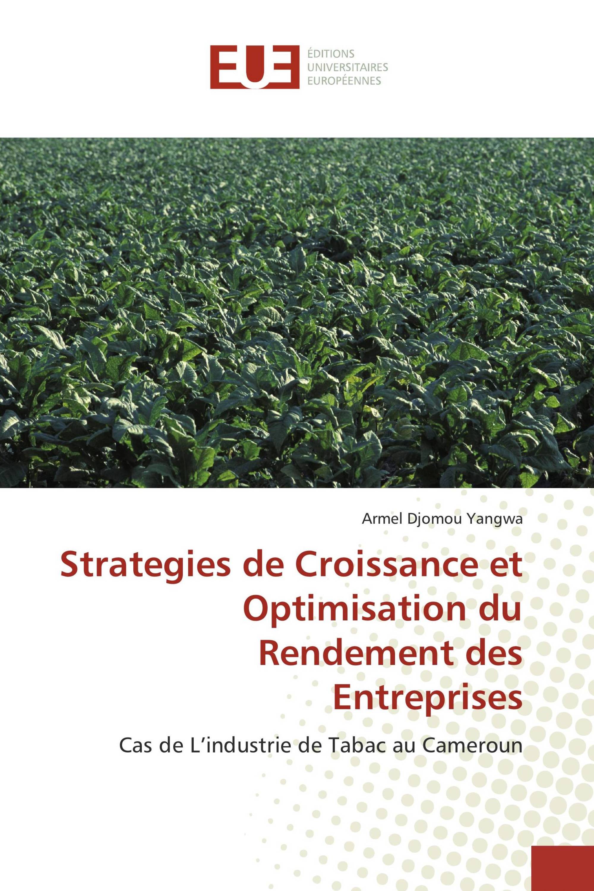 Strategies de Croissance et Optimisation du Rendement des Entreprises