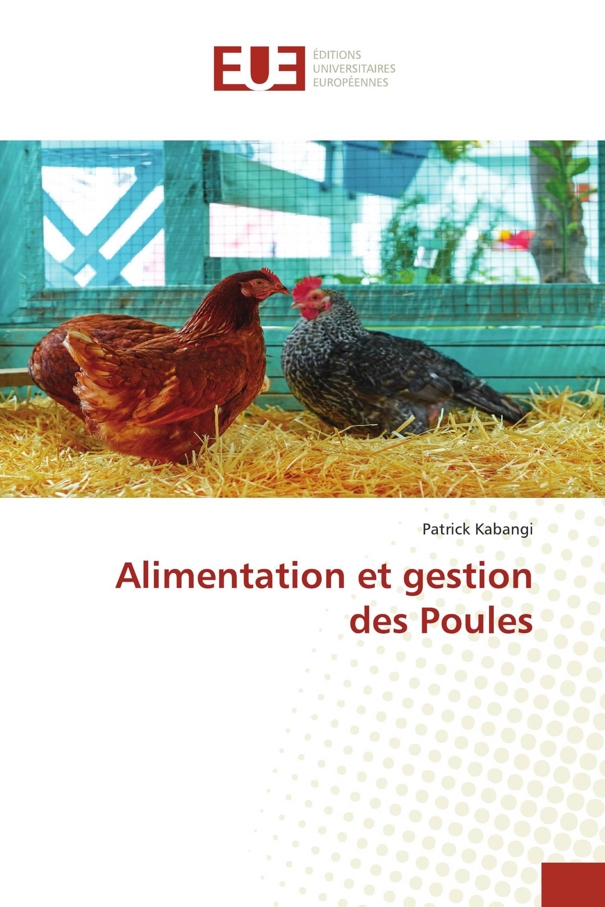 Alimentation et gestion des Poules