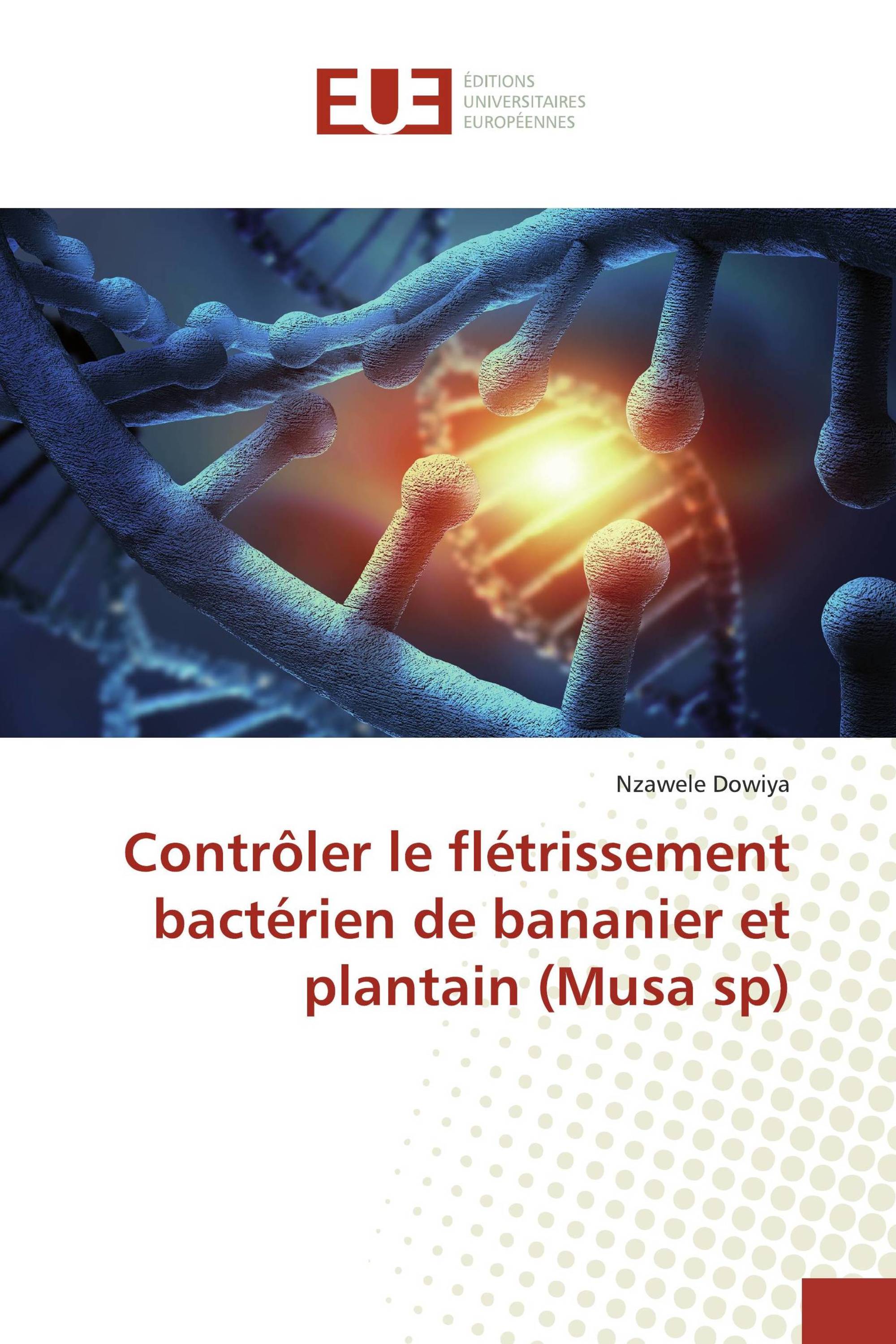 Contrôler le flétrissement bactérien de bananier et plantain (Musa sp)