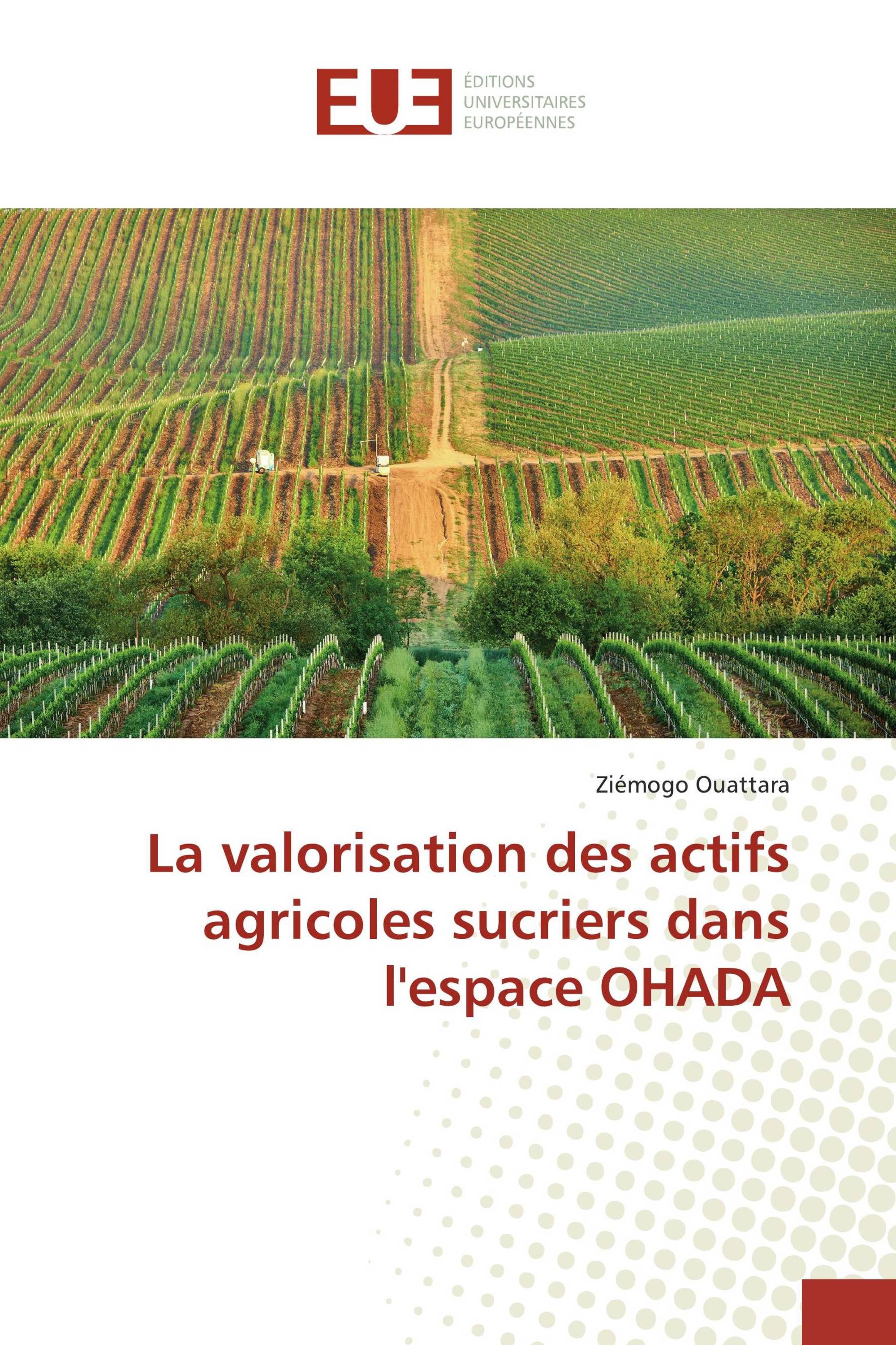 La valorisation des actifs agricoles sucriers dans l'espace OHADA