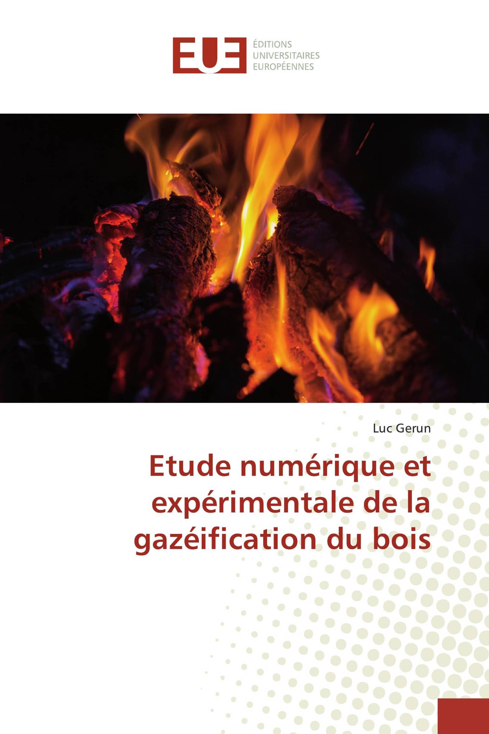 Etude numérique et expérimentale de la gazéification du bois