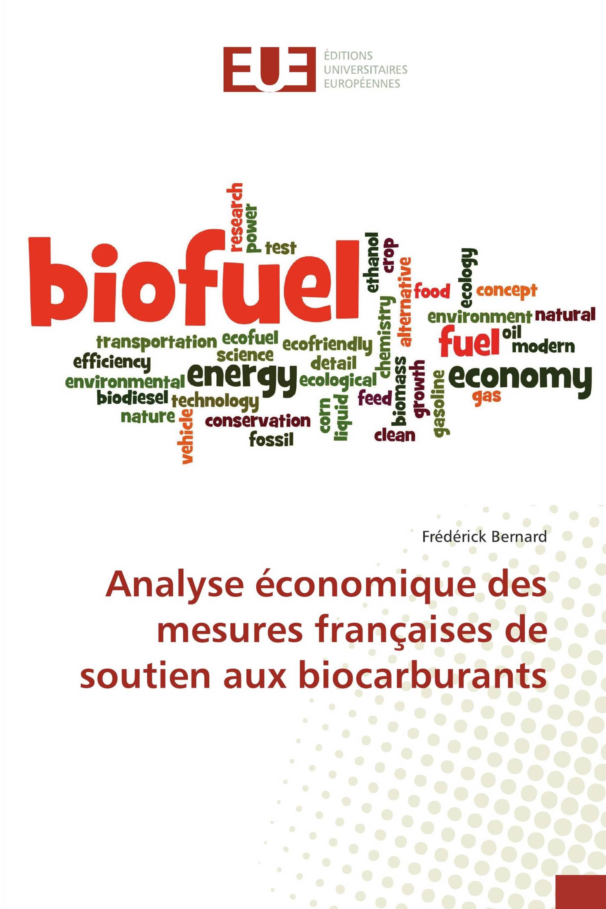 Analyse économique des mesures françaises de soutien aux biocarburants