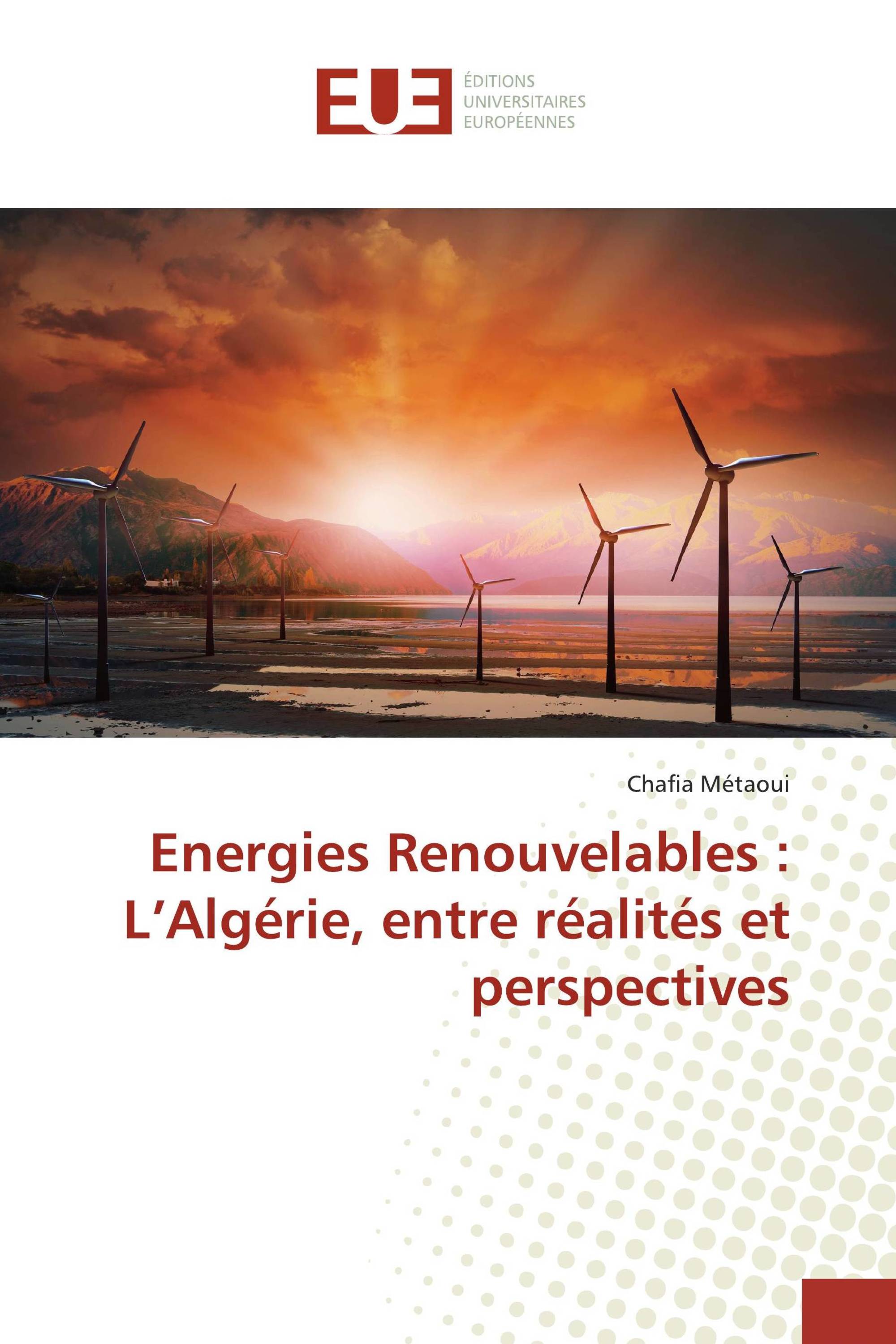 Energies Renouvelables : L’Algérie, entre réalités et perspectives