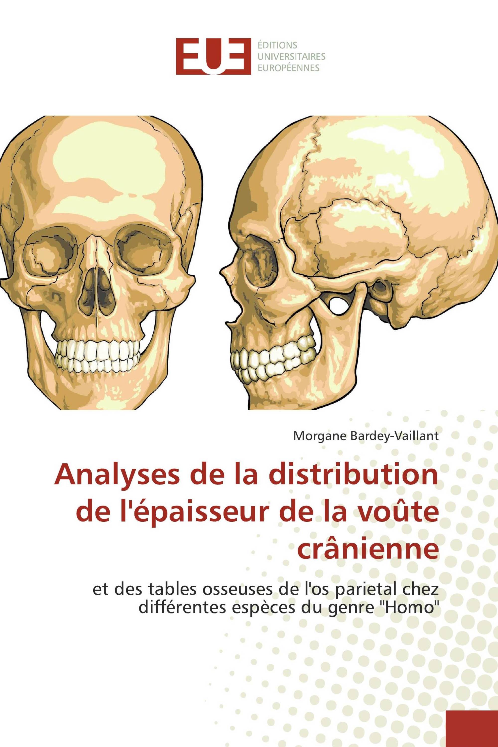 Analyses de la distribution de l'épaisseur de la voûte crânienne