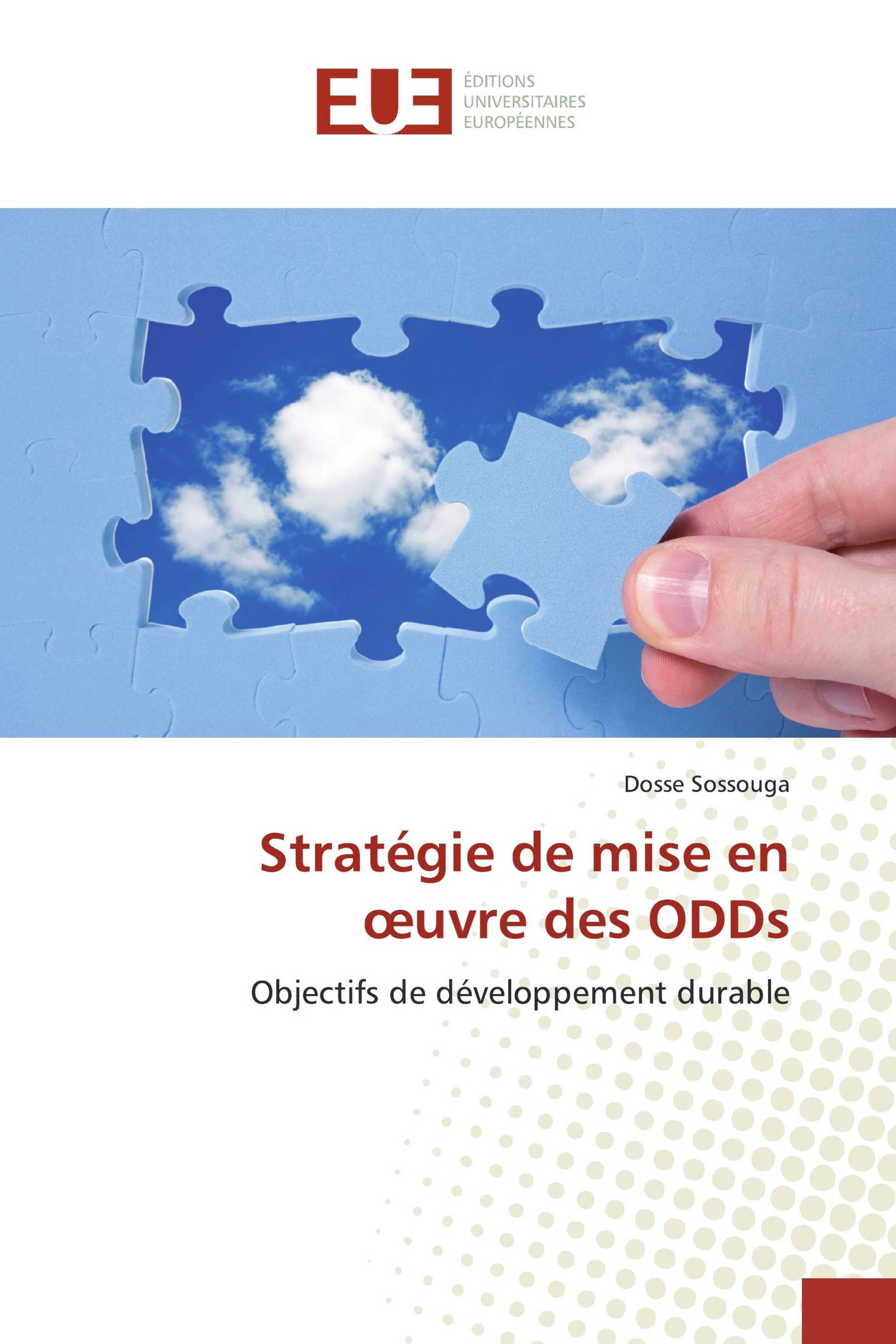 Stratégie de mise en œuvre des ODDs