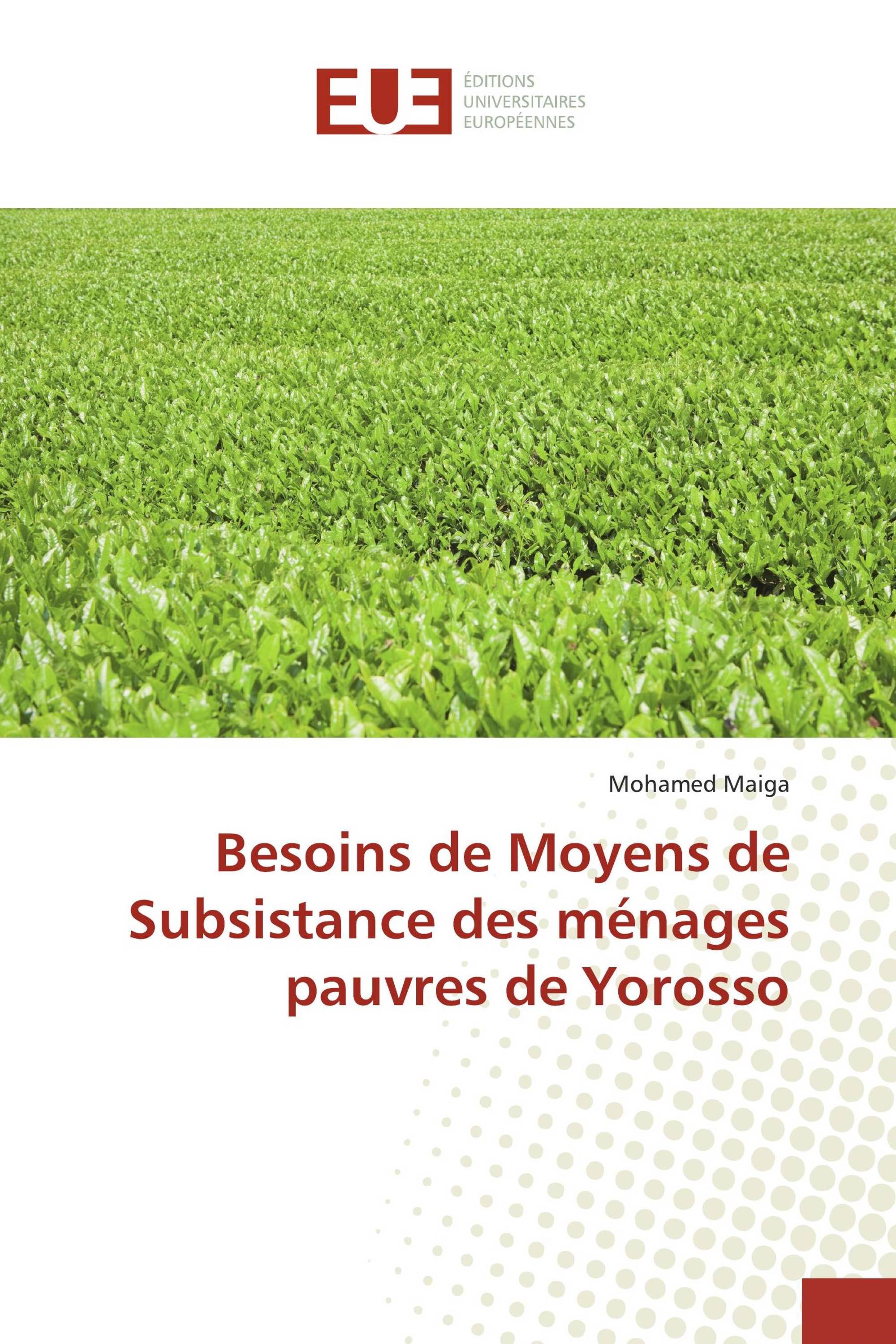 Besoins de Moyens de Subsistance des ménages pauvres de Yorosso