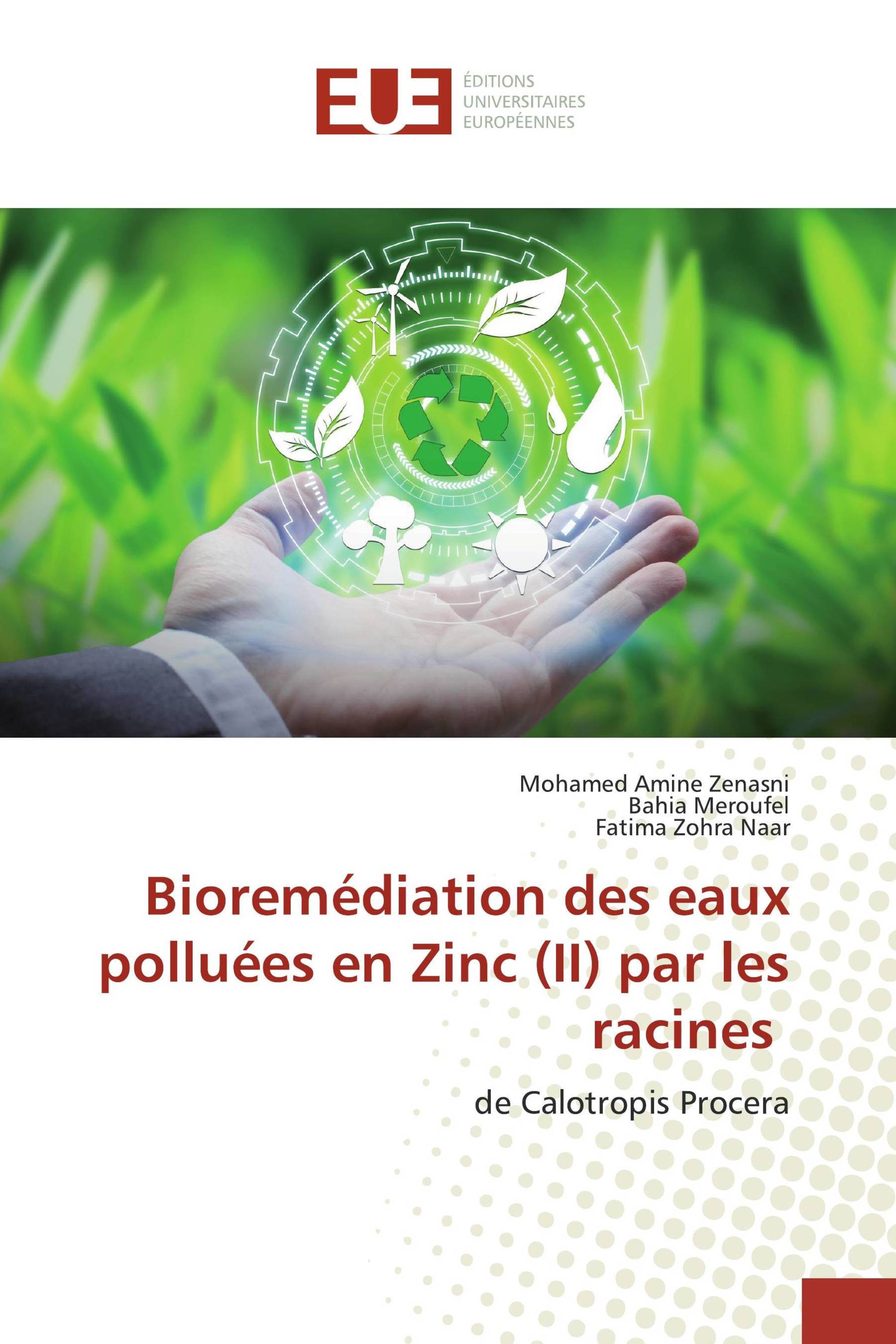 Bioremédiation des eaux polluées en Zinc (II) par les racines