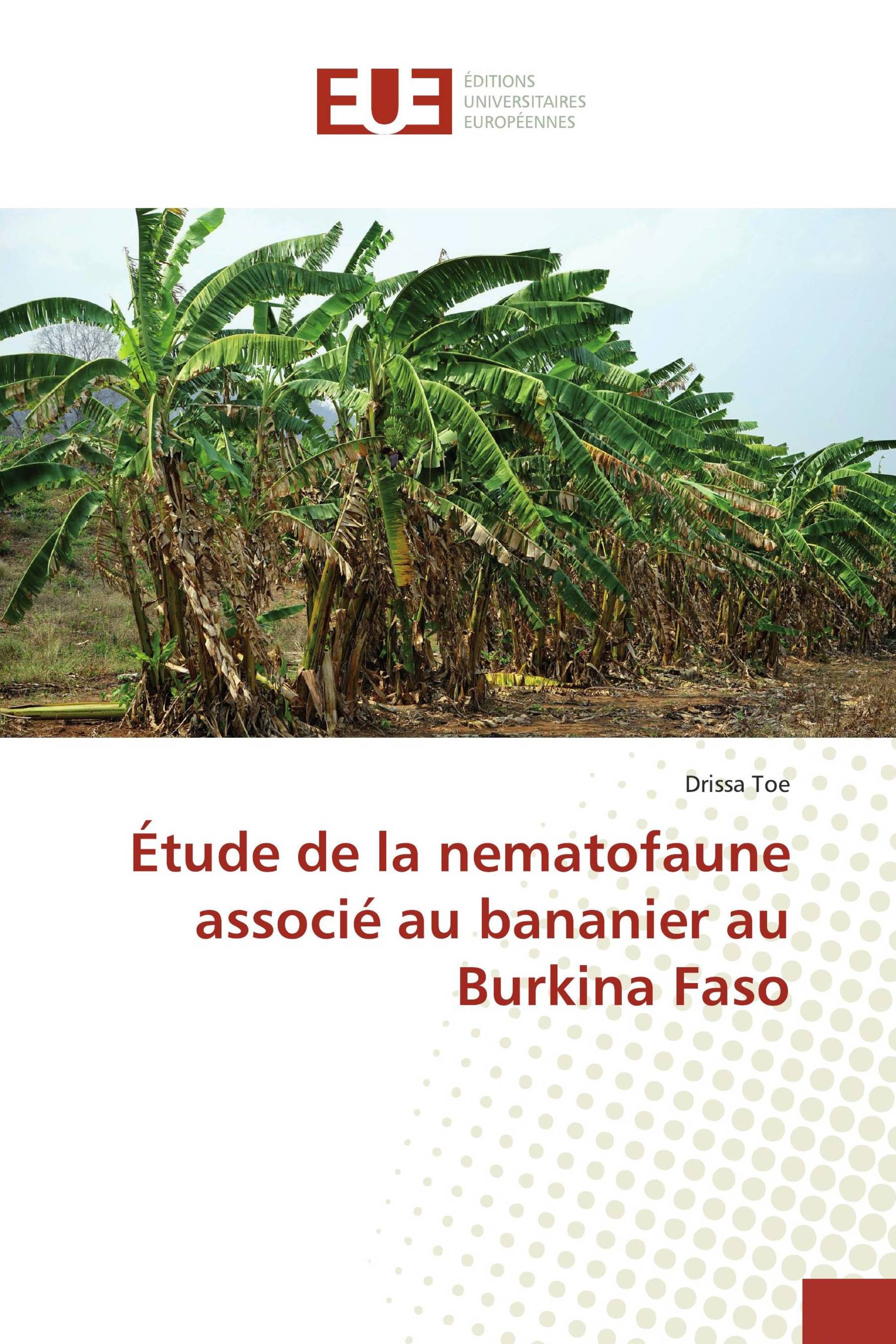 Étude de la nematofaune associé au bananier au Burkina Faso