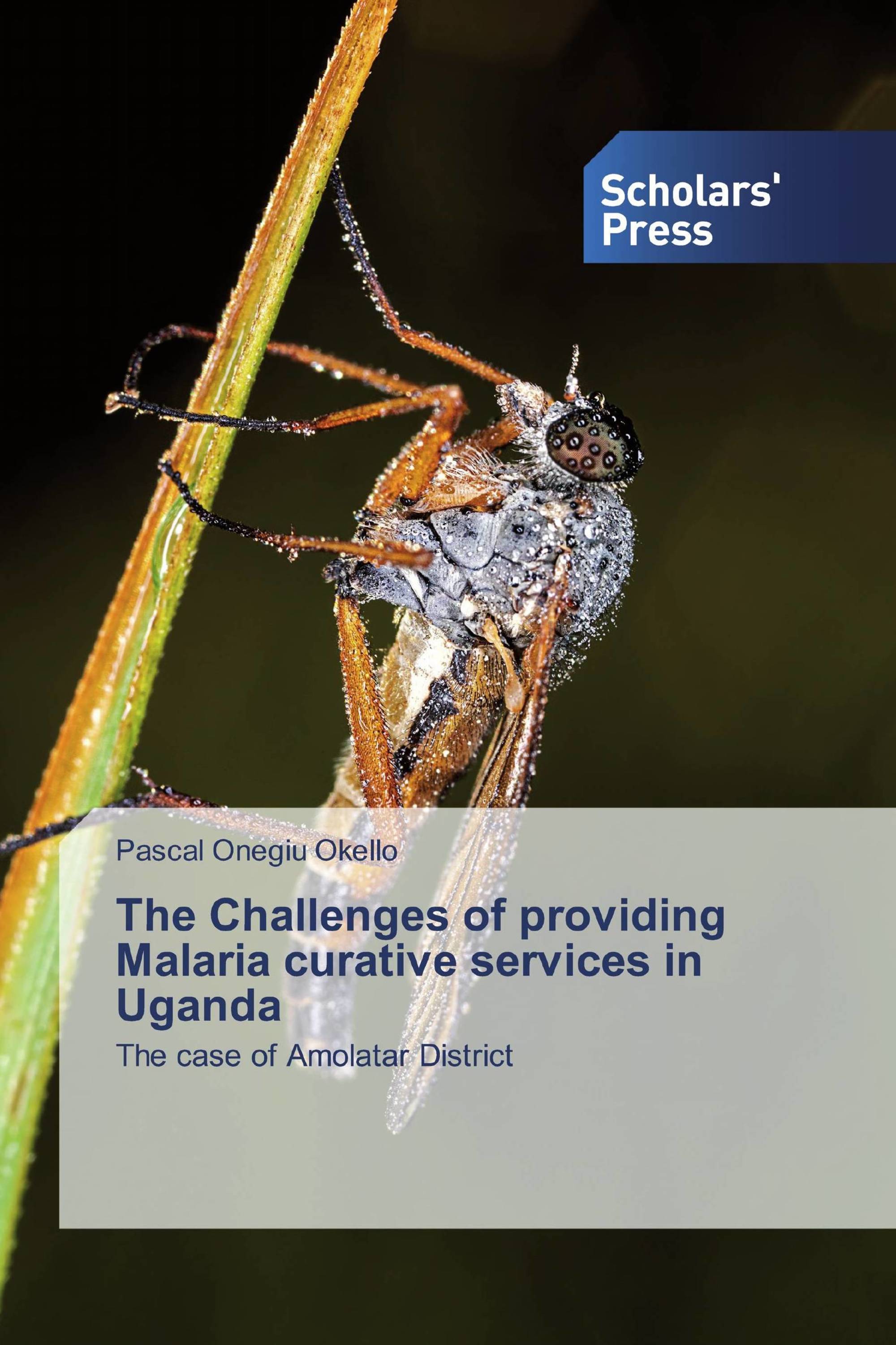 The Challenges of providing Malaria curative services in Uganda