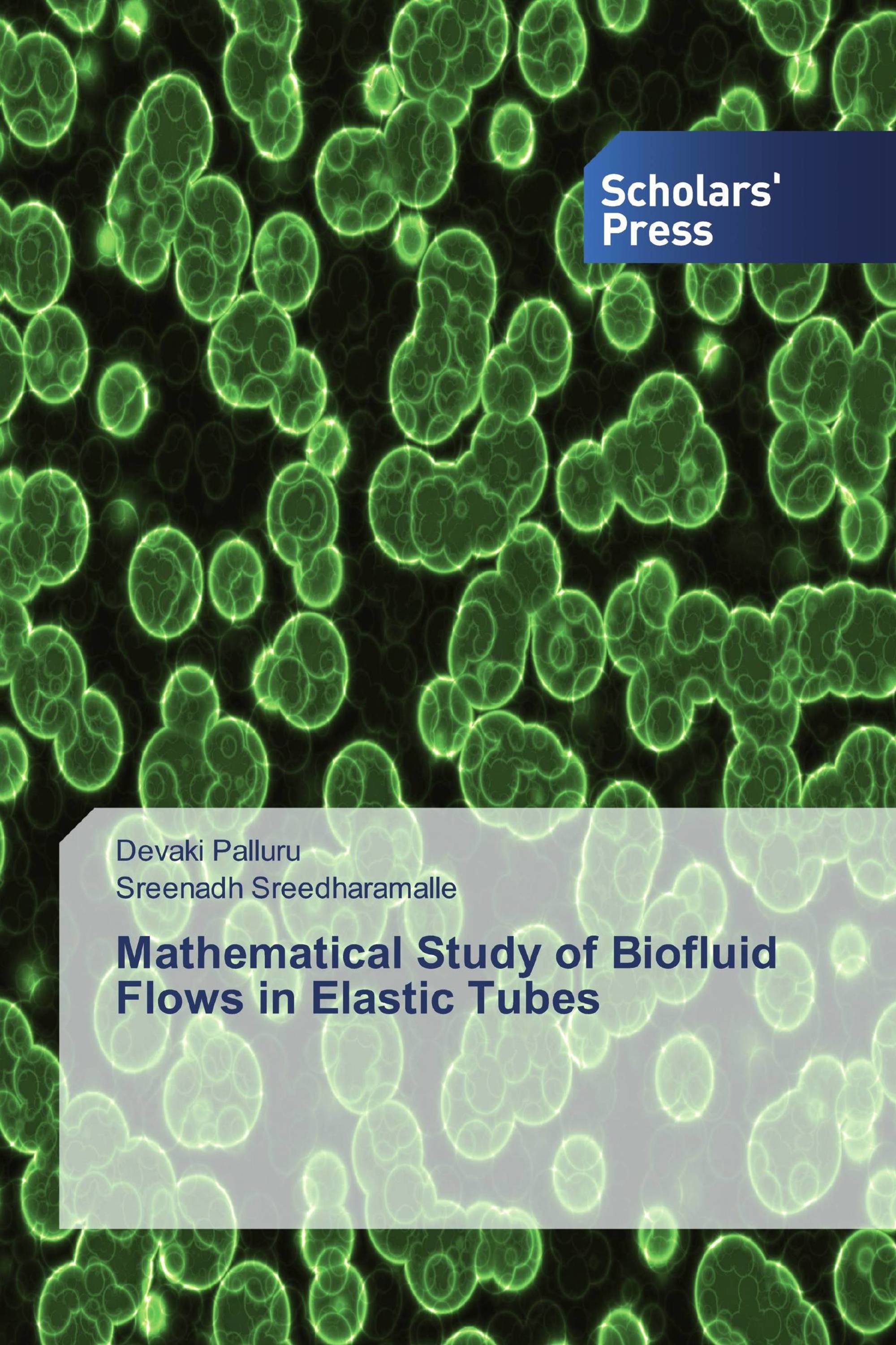 Mathematical Study of Biofluid Flows in Elastic Tubes