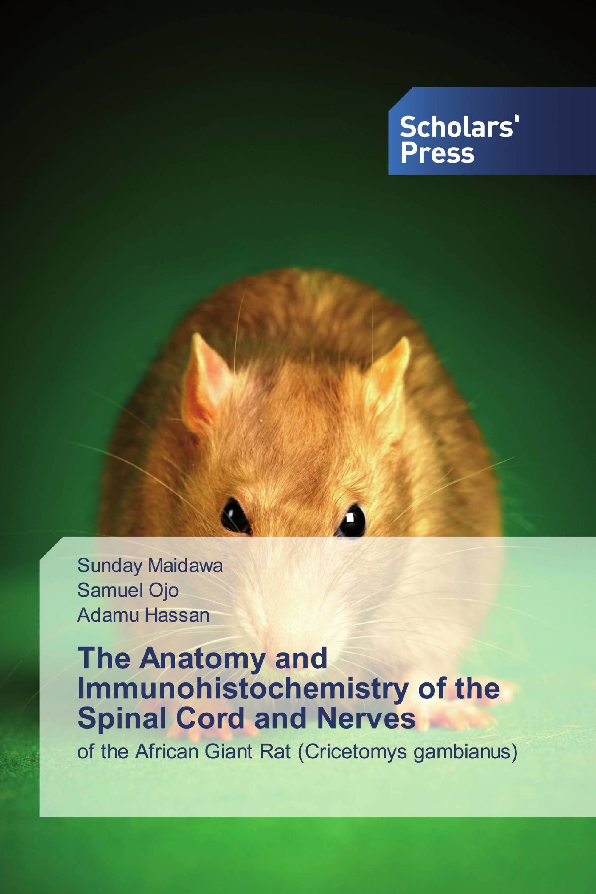 The Anatomy and Immunohistochemistry of the Spinal Cord and Nerves