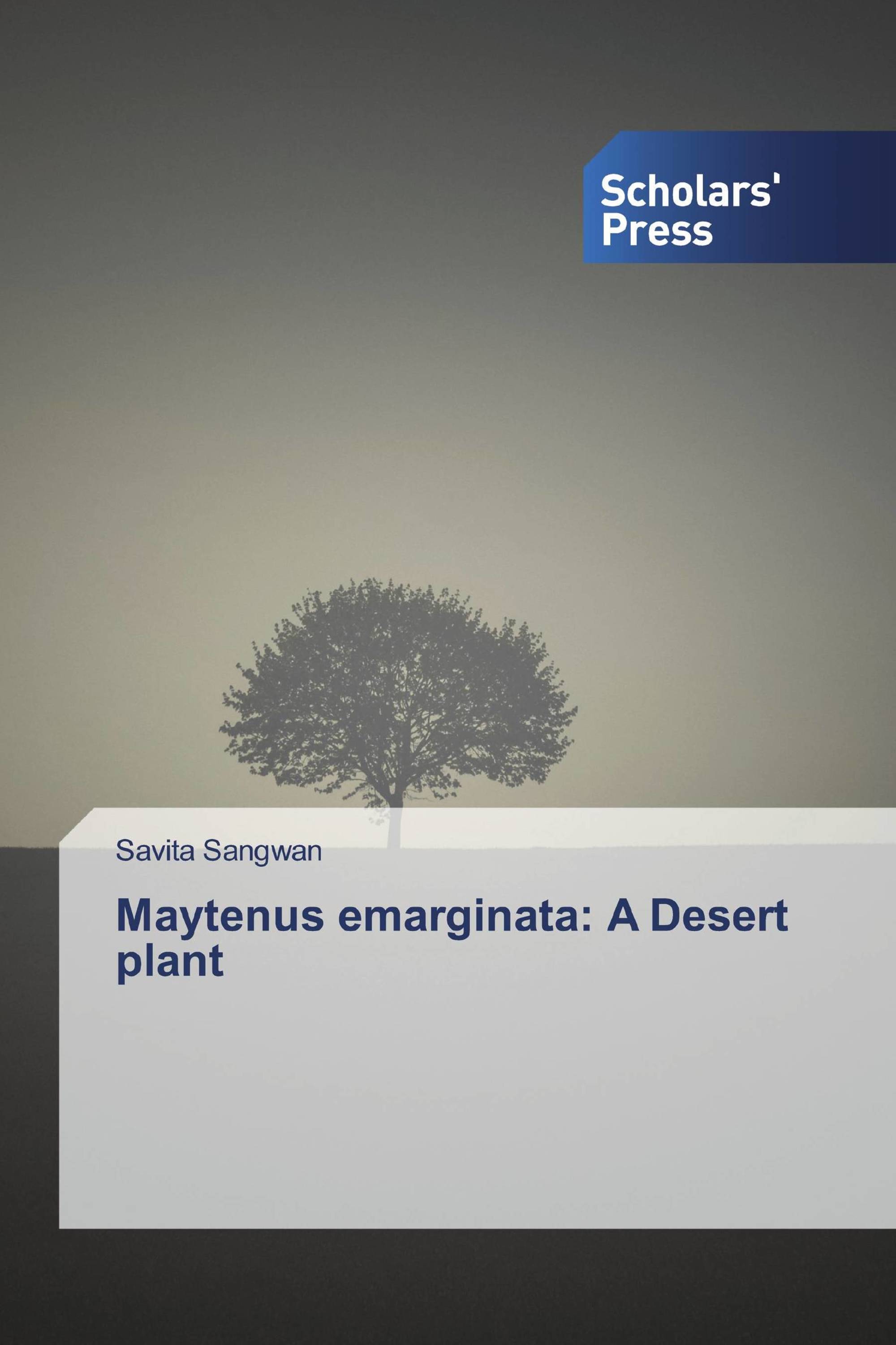 Maytenus emarginata: A Desert plant