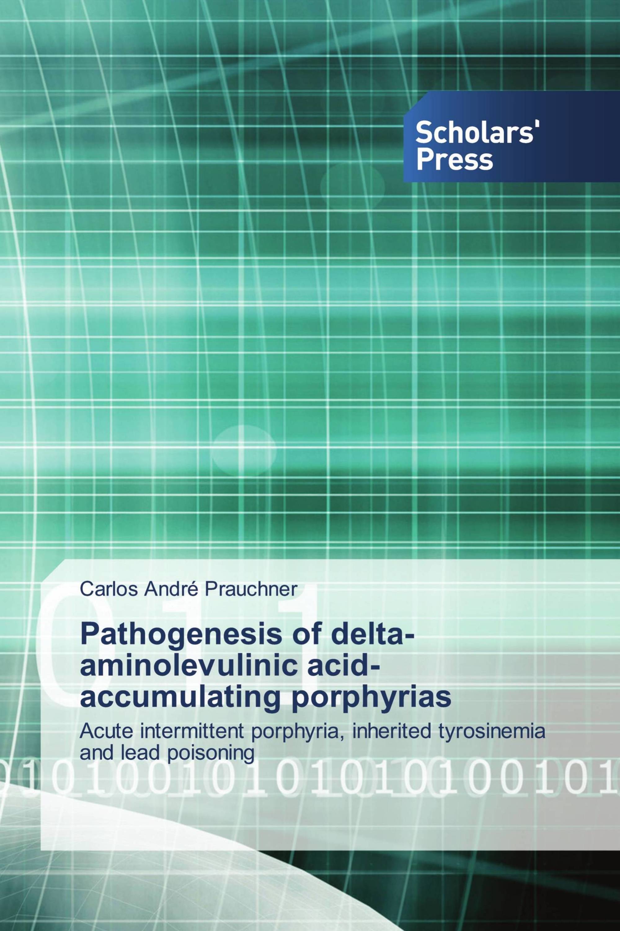 Pathogenesis of delta-aminolevulinic acid-accumulating porphyrias