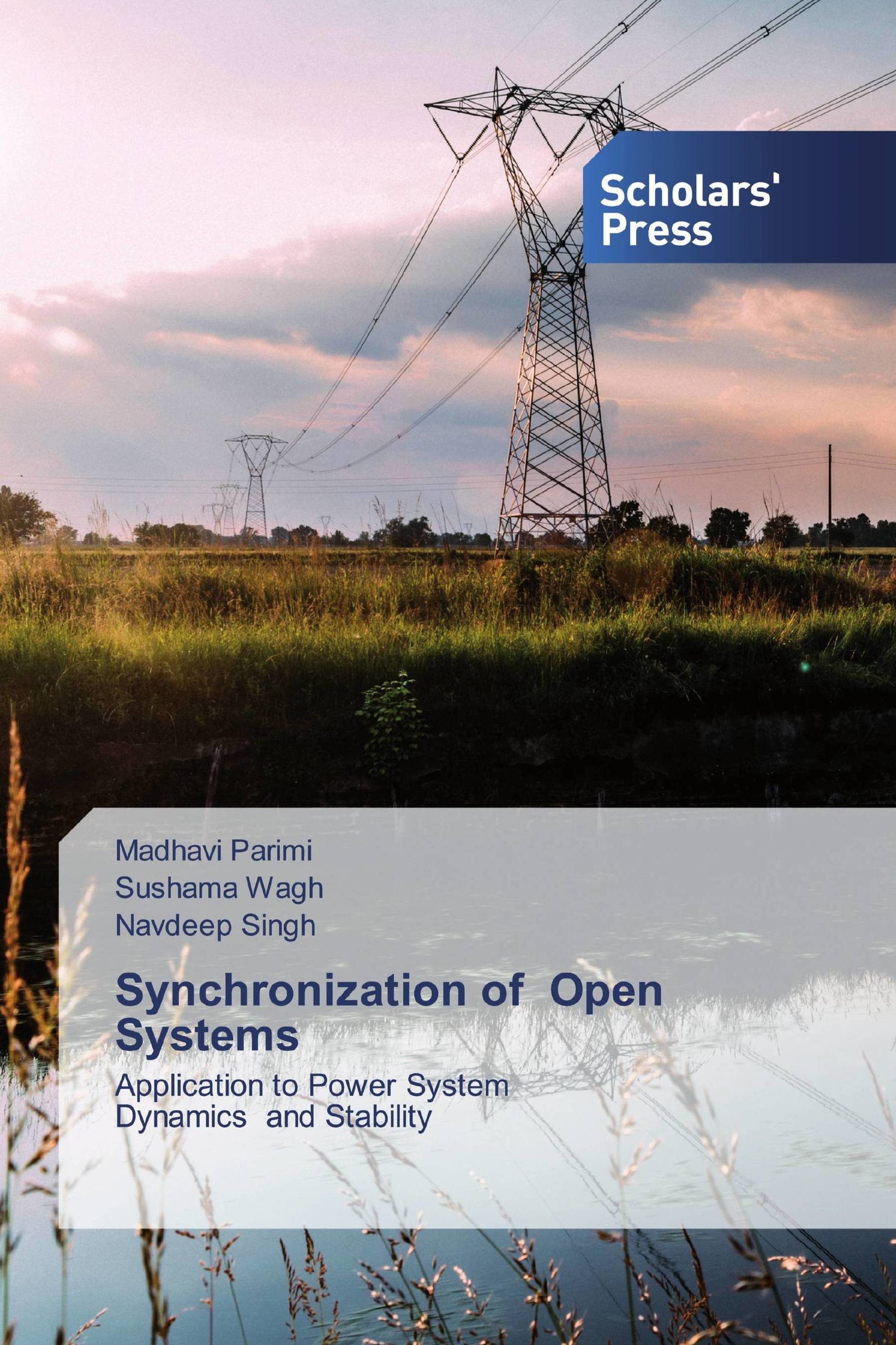 Synchronization of Open Systems