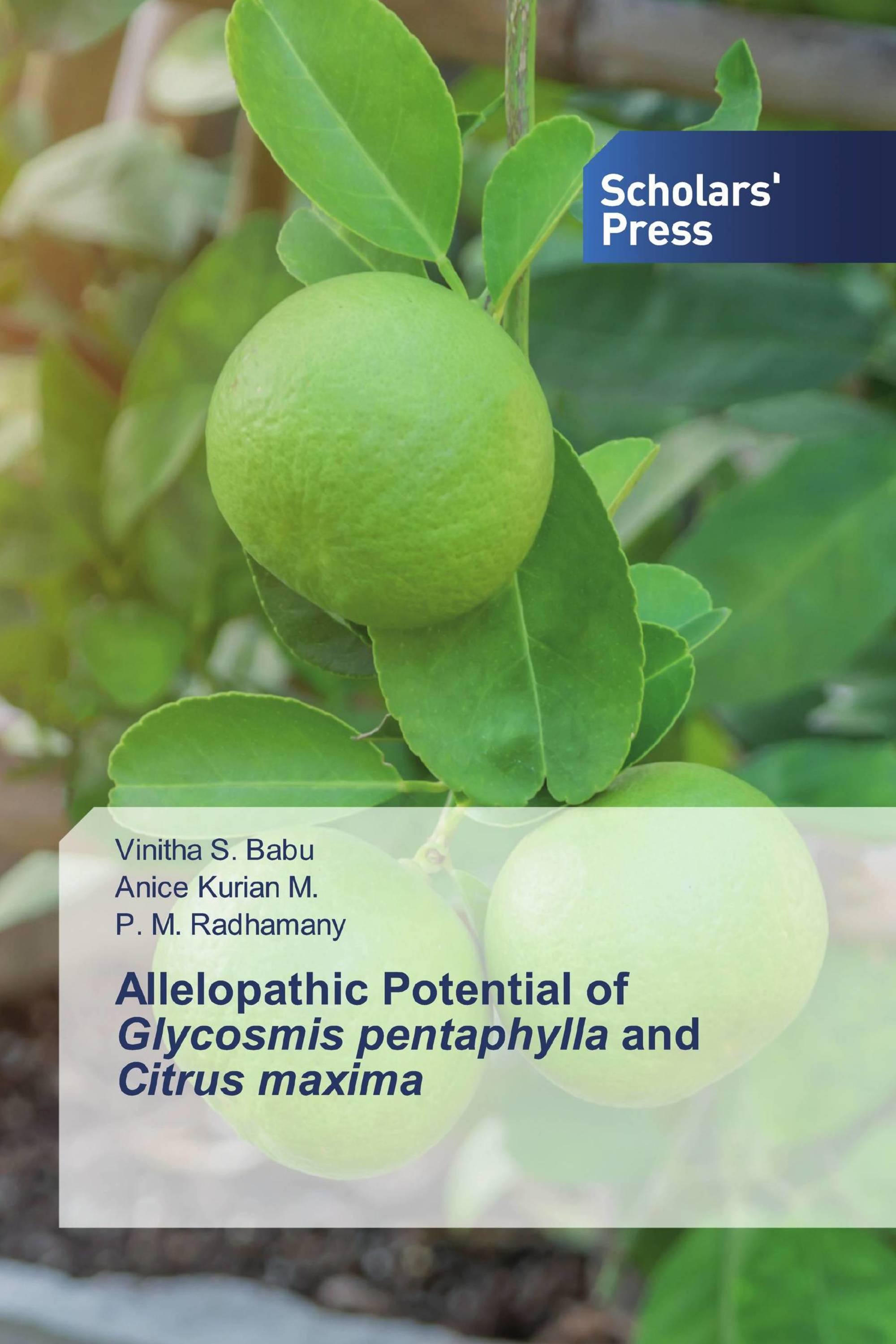 Allelopathic Potential of Glycosmis pentaphylla and Citrus maxima