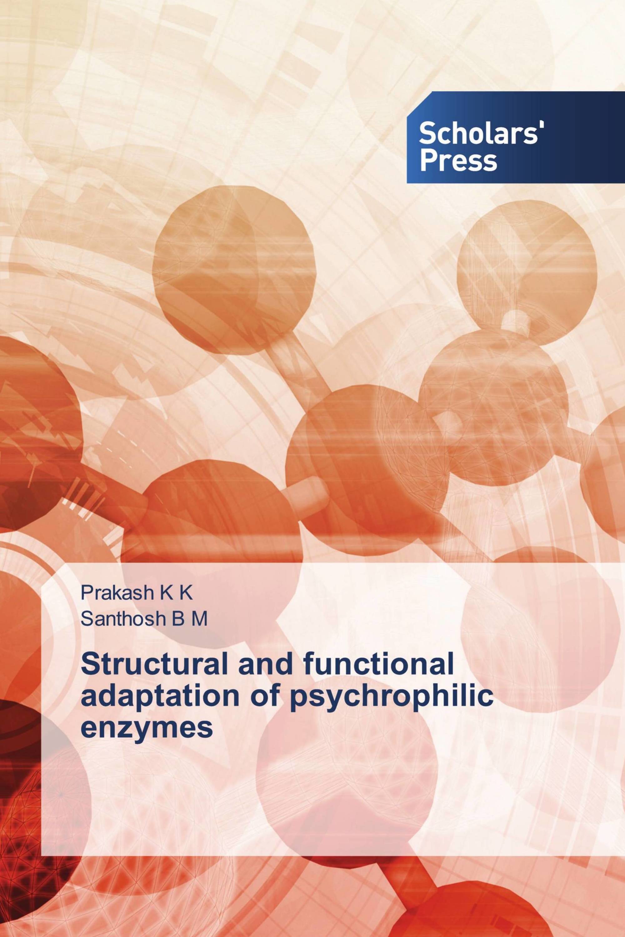 Structural and functional adaptation of psychrophilic enzymes