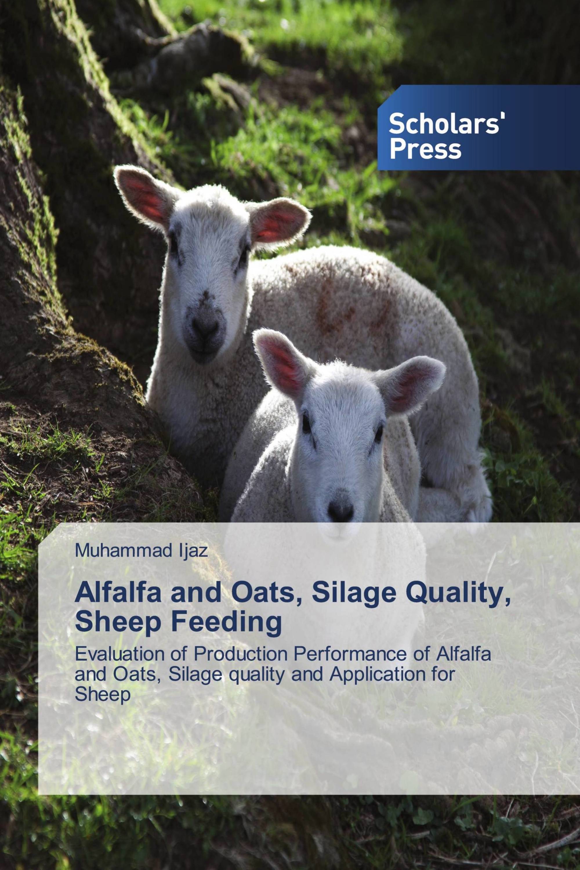 Alfalfa and Oats, Silage Quality, Sheep Feeding