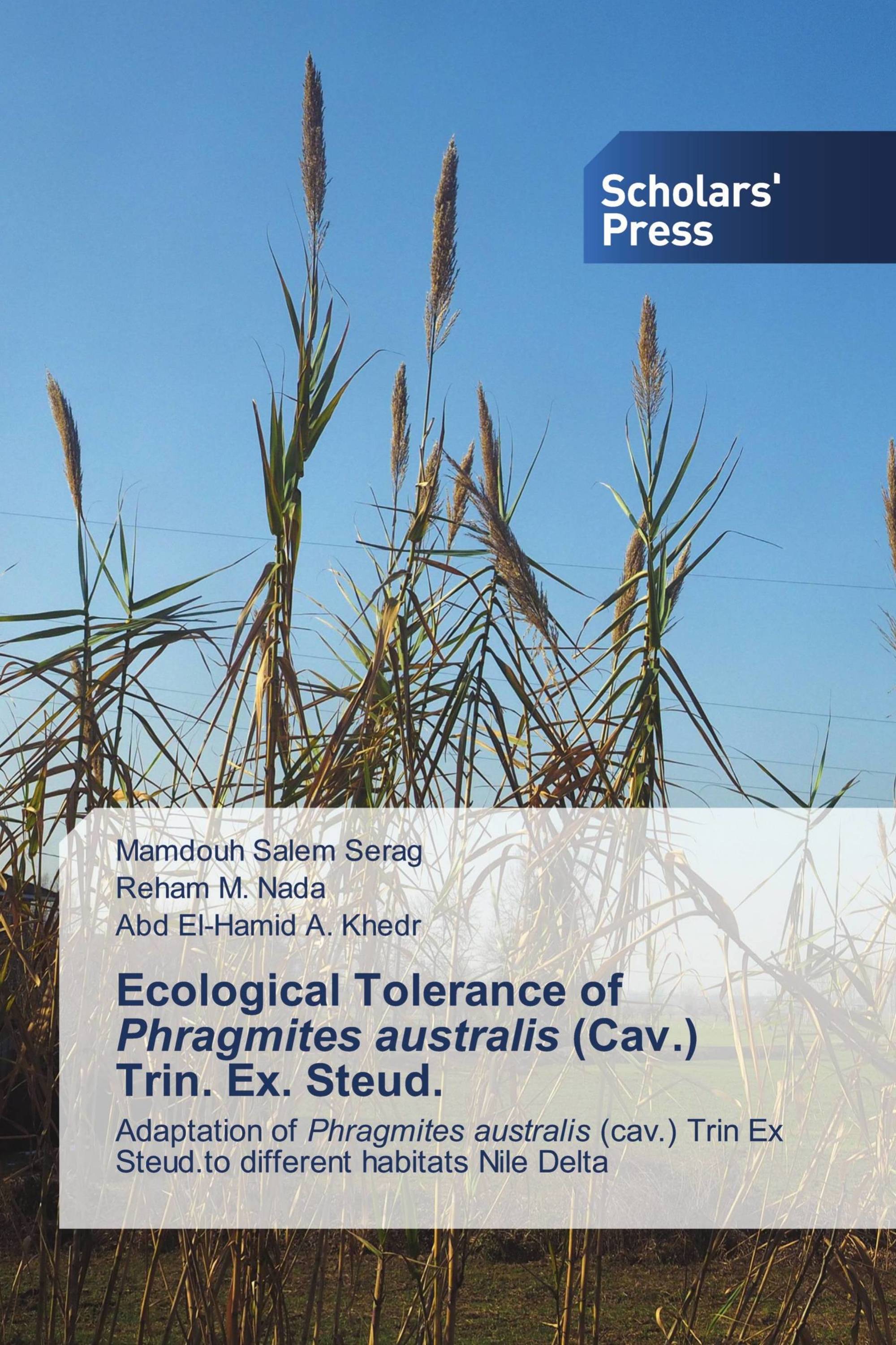 Ecological Tolerance of Phragmites australis (Cav.) Trin. Ex. Steud.