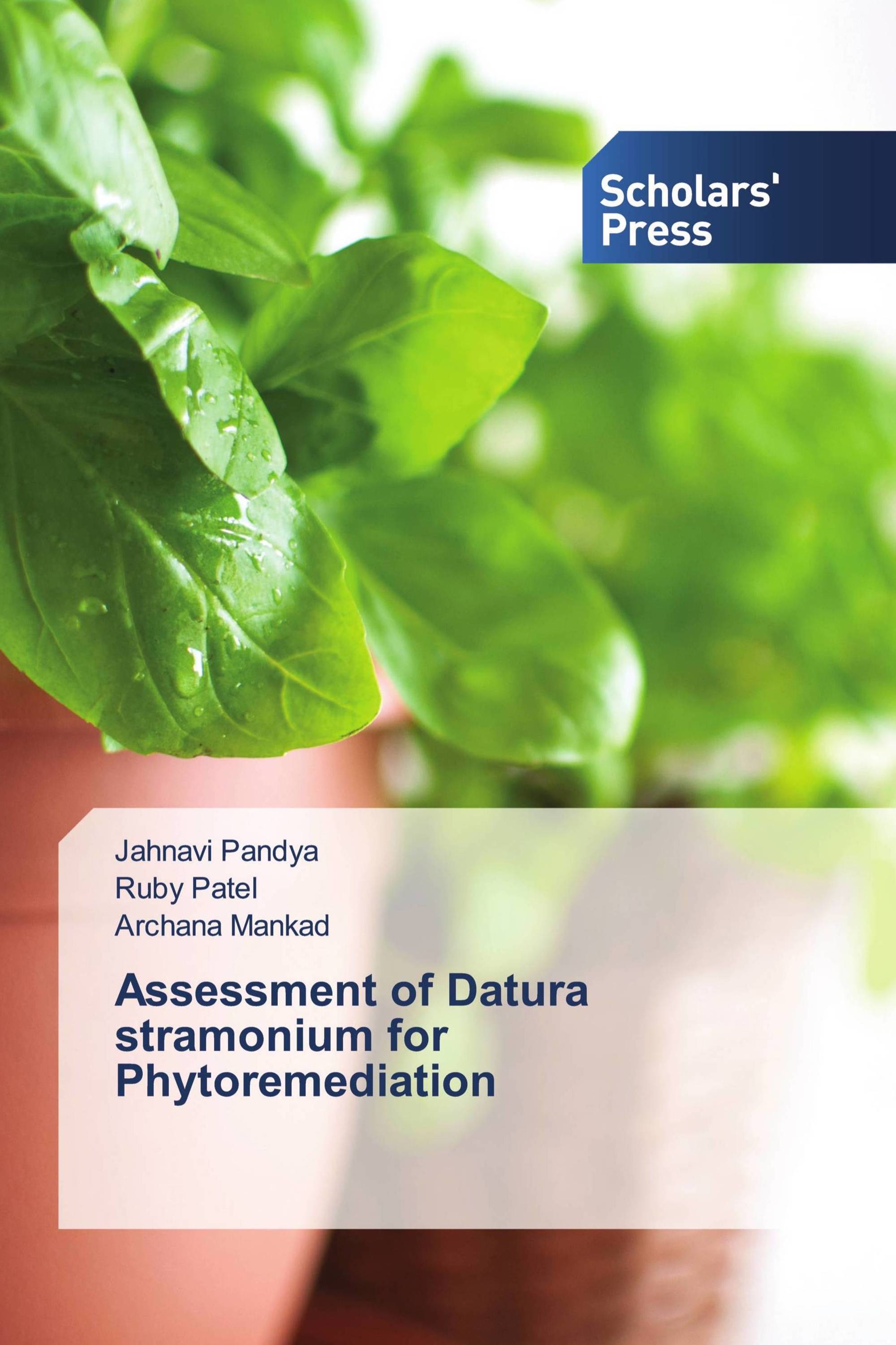 Assessment of Datura stramonium for Phytoremediation