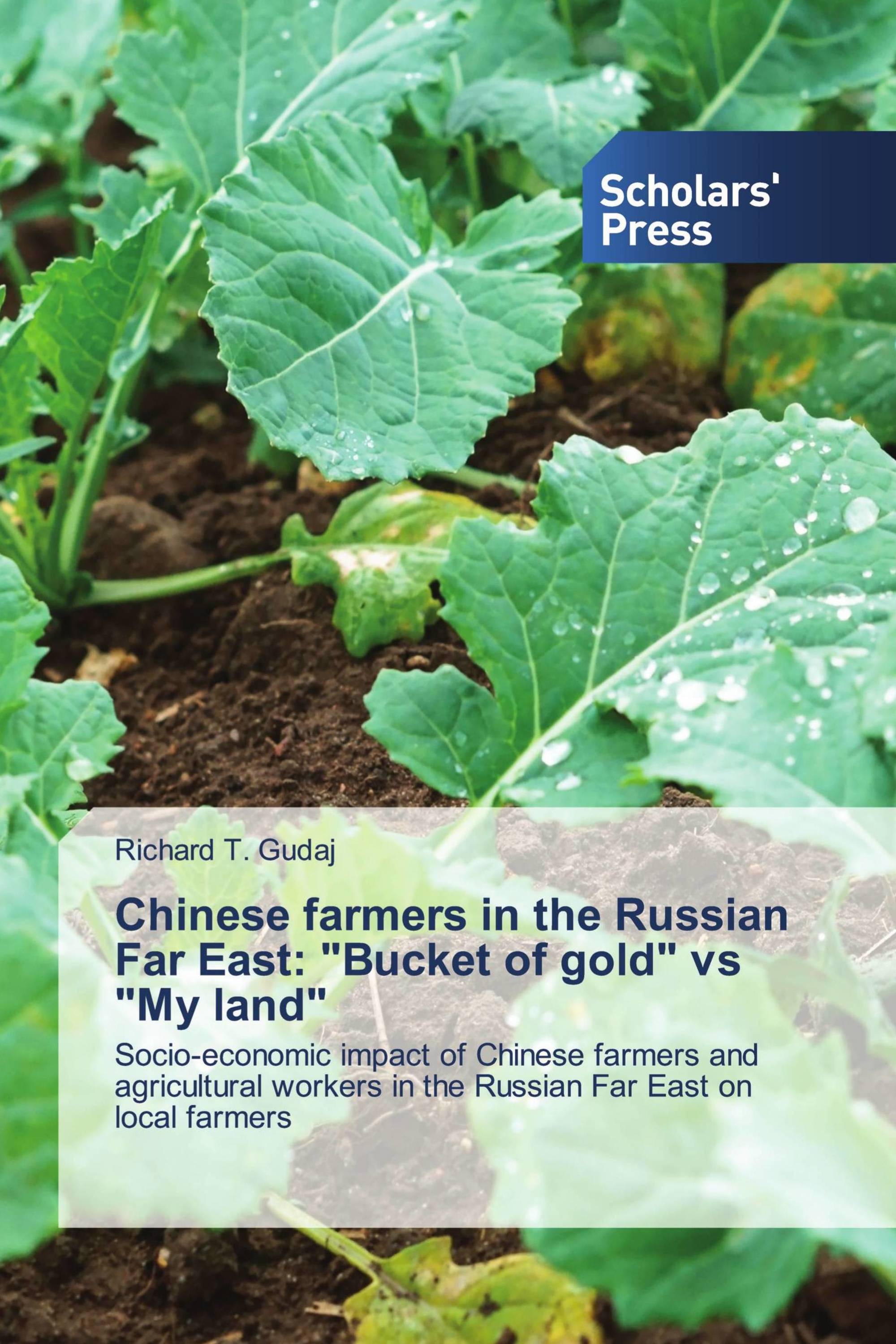 Chinese farmers in the Russian Far East: "Bucket of gold" vs "My land"