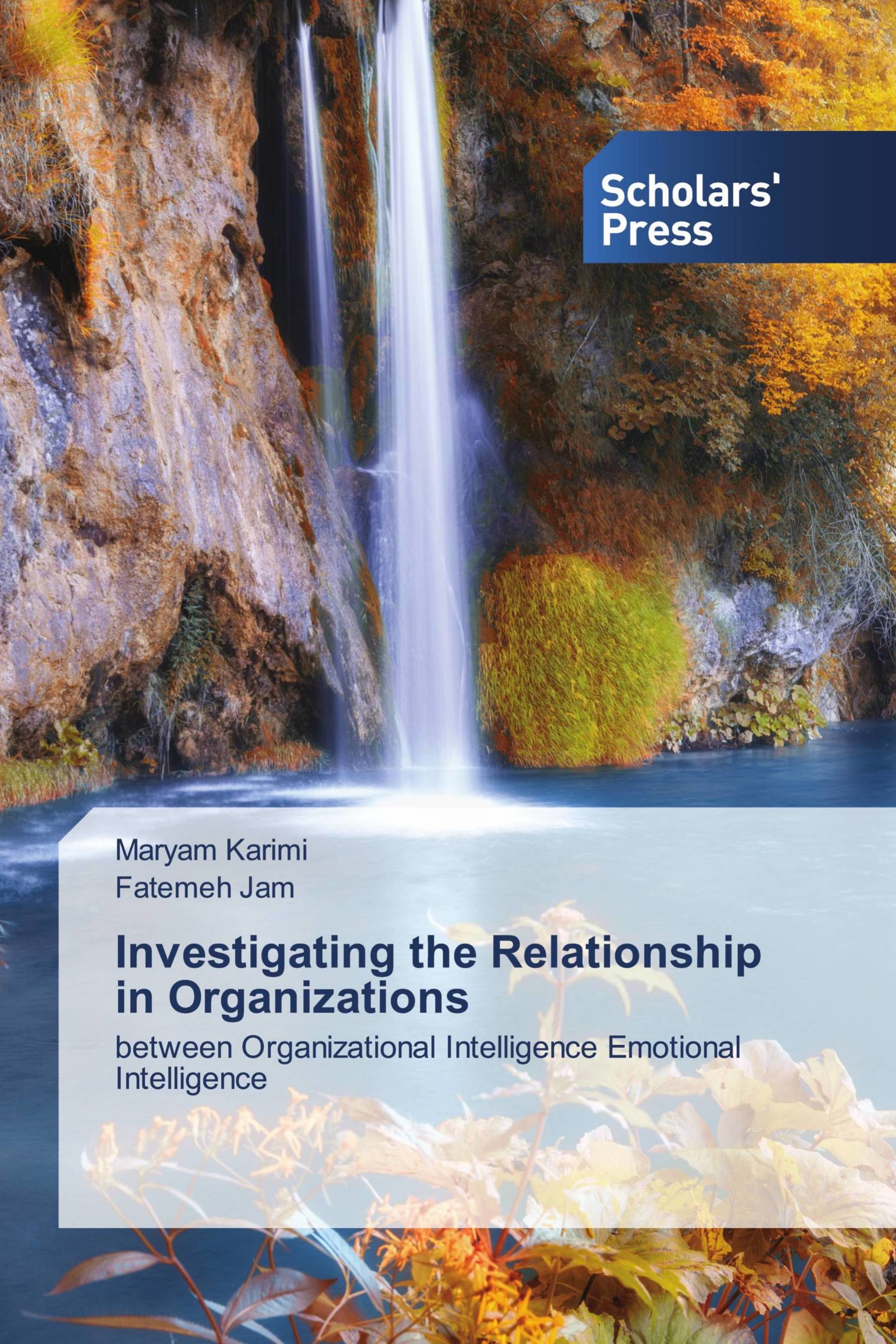 Investigating the Relationship in Organizations