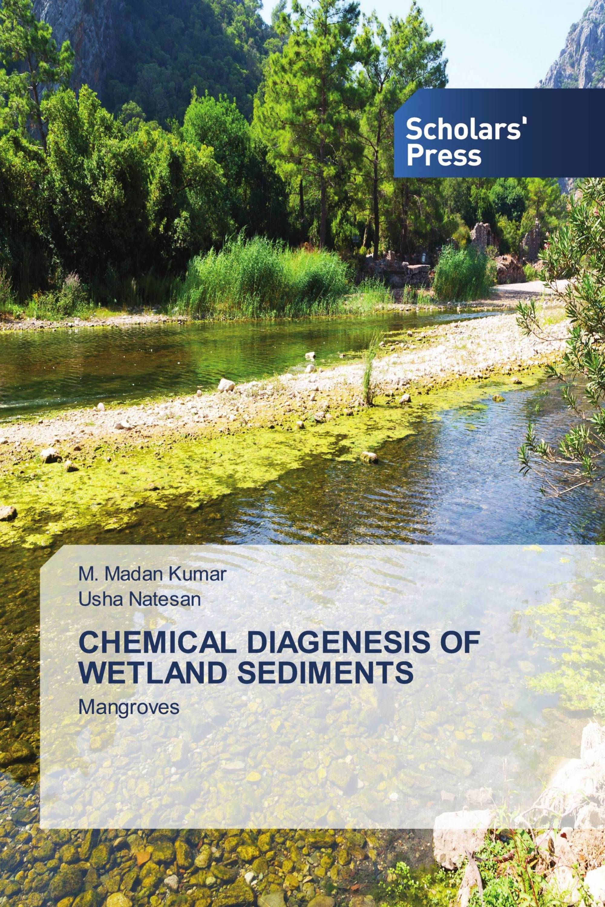 CHEMICAL DIAGENESIS OF WETLAND SEDIMENTS