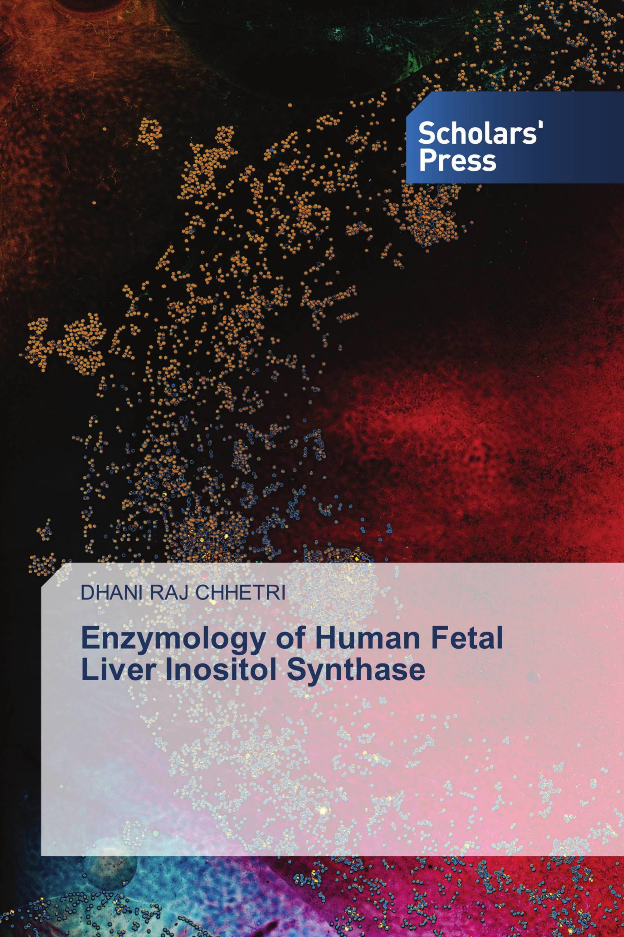 Enzymology of Human Fetal Liver Inositol Synthase