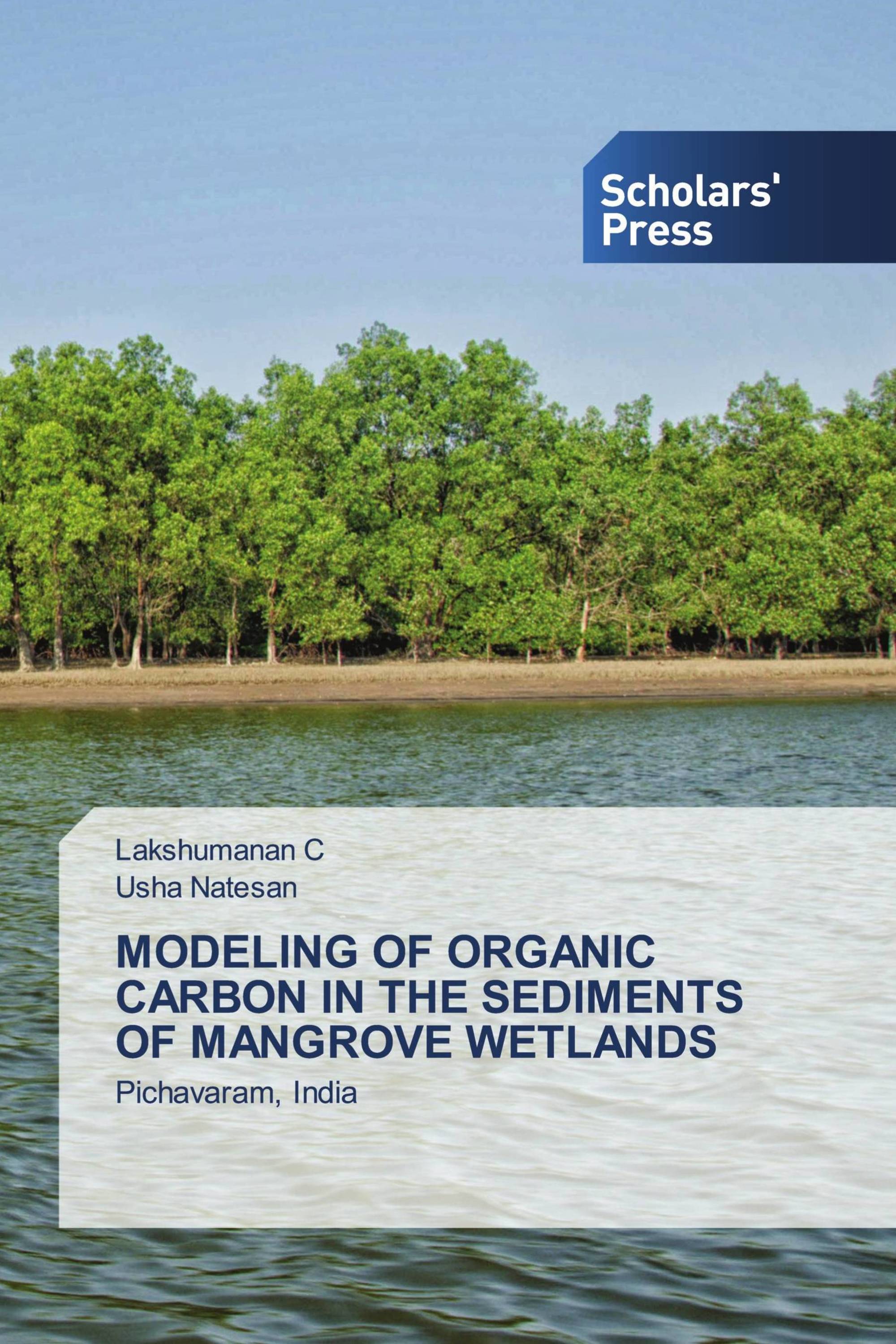 MODELING OF ORGANIC CARBON IN THE SEDIMENTS OF MANGROVE WETLANDS