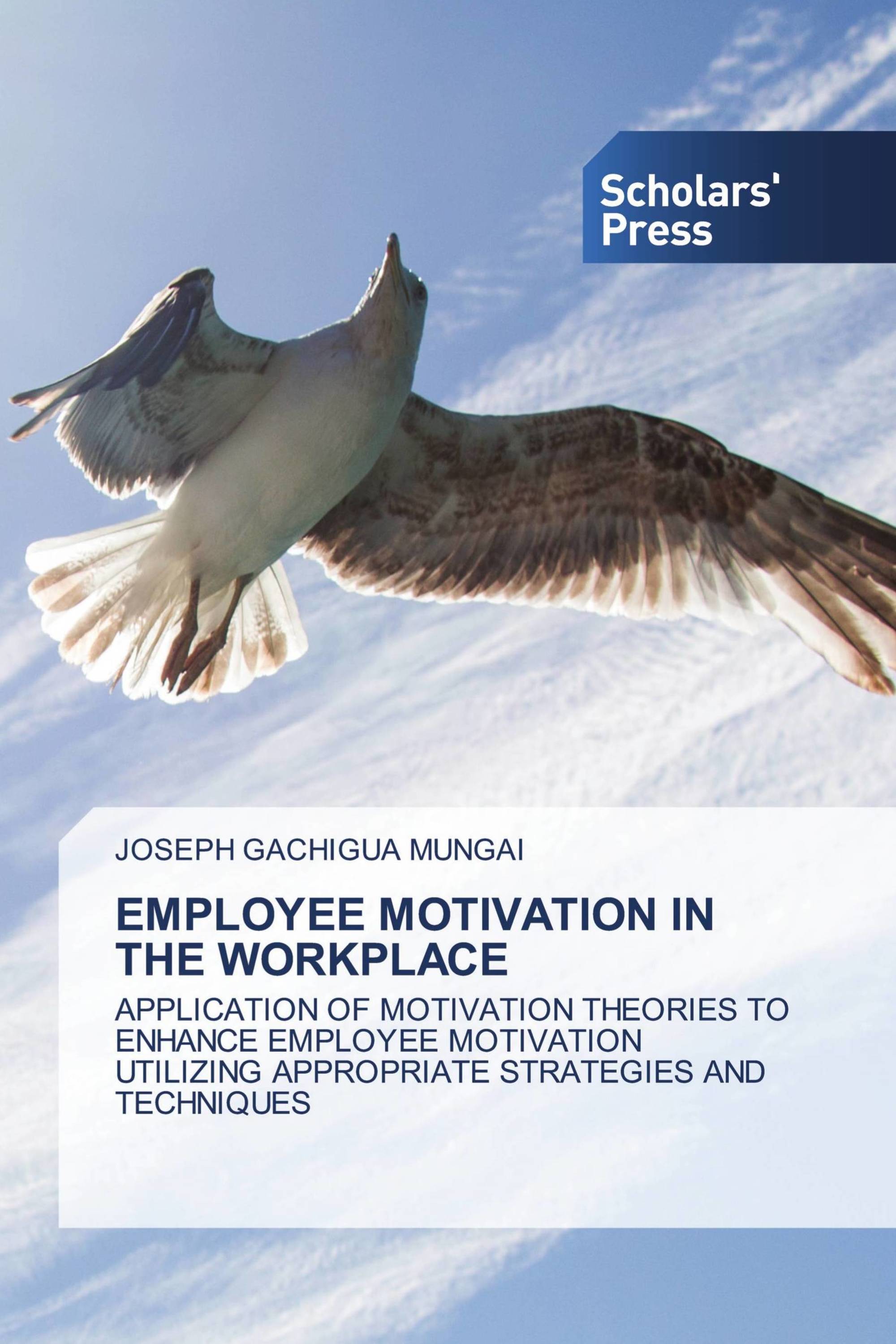 EMPLOYEE MOTIVATION IN THE WORKPLACE