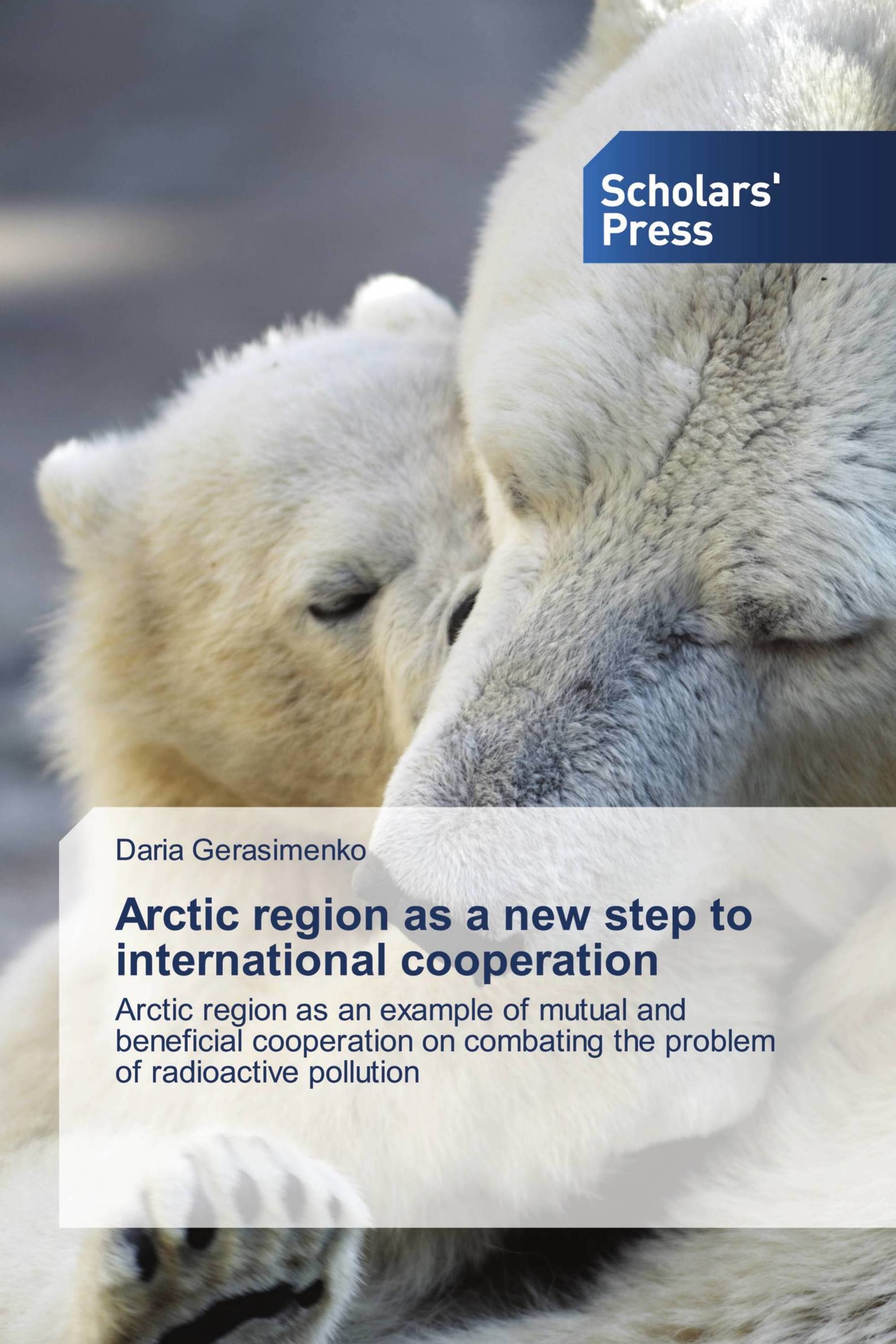 Arctic region as a new step to international cooperation