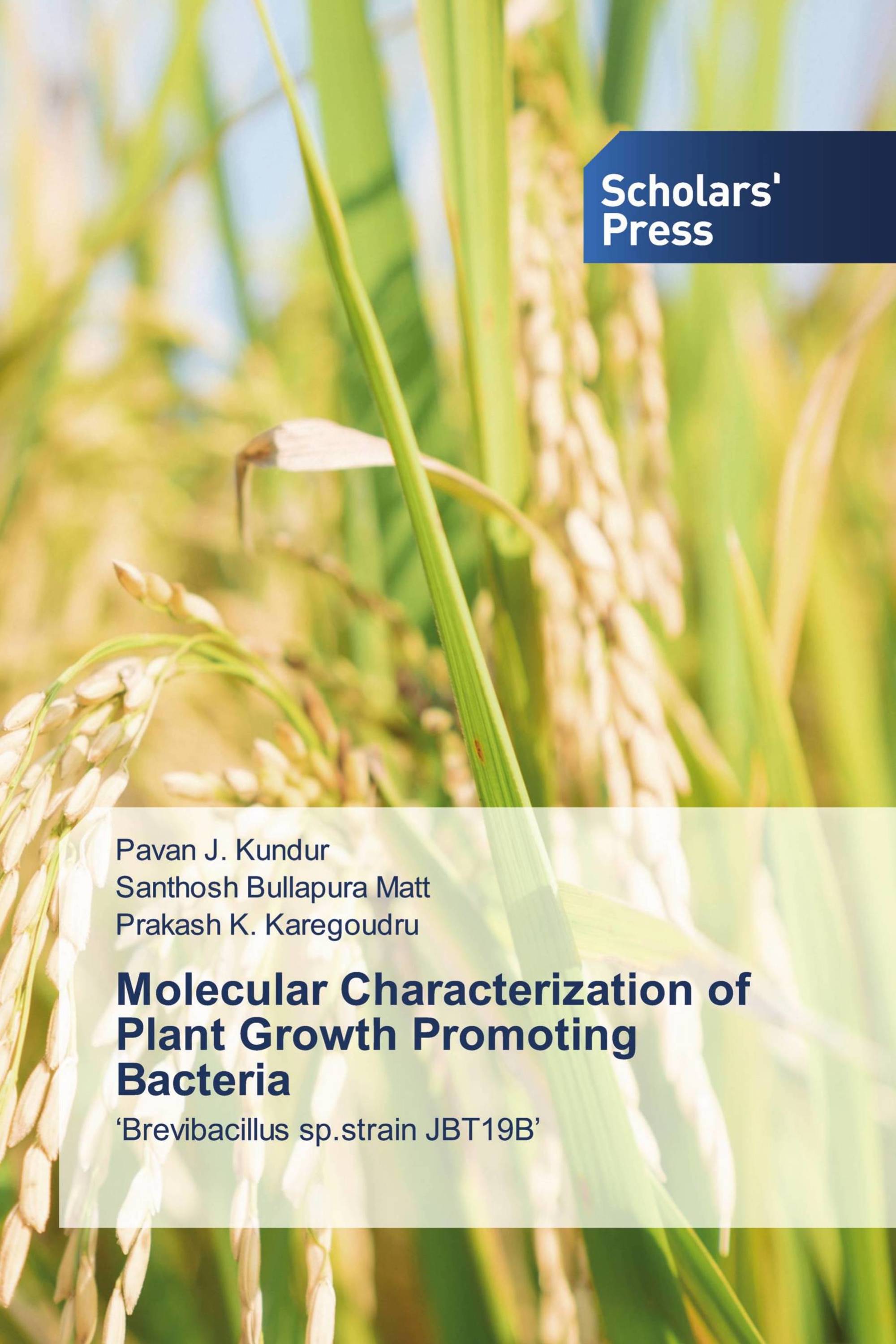 Molecular Characterization of Plant Growth Promoting Bacteria