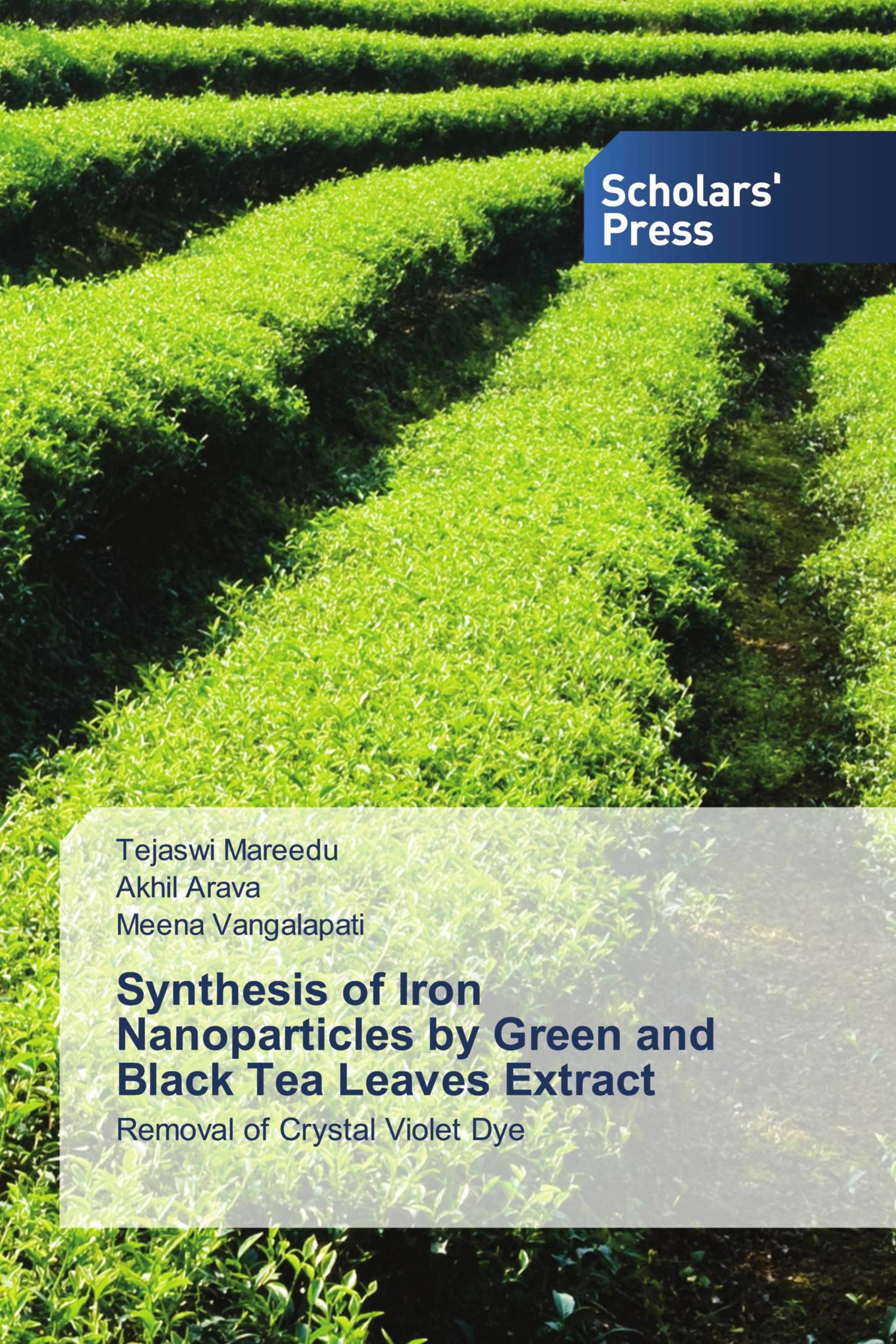 Synthesis of Iron Nanoparticles by Green and Black Tea Leaves Extract