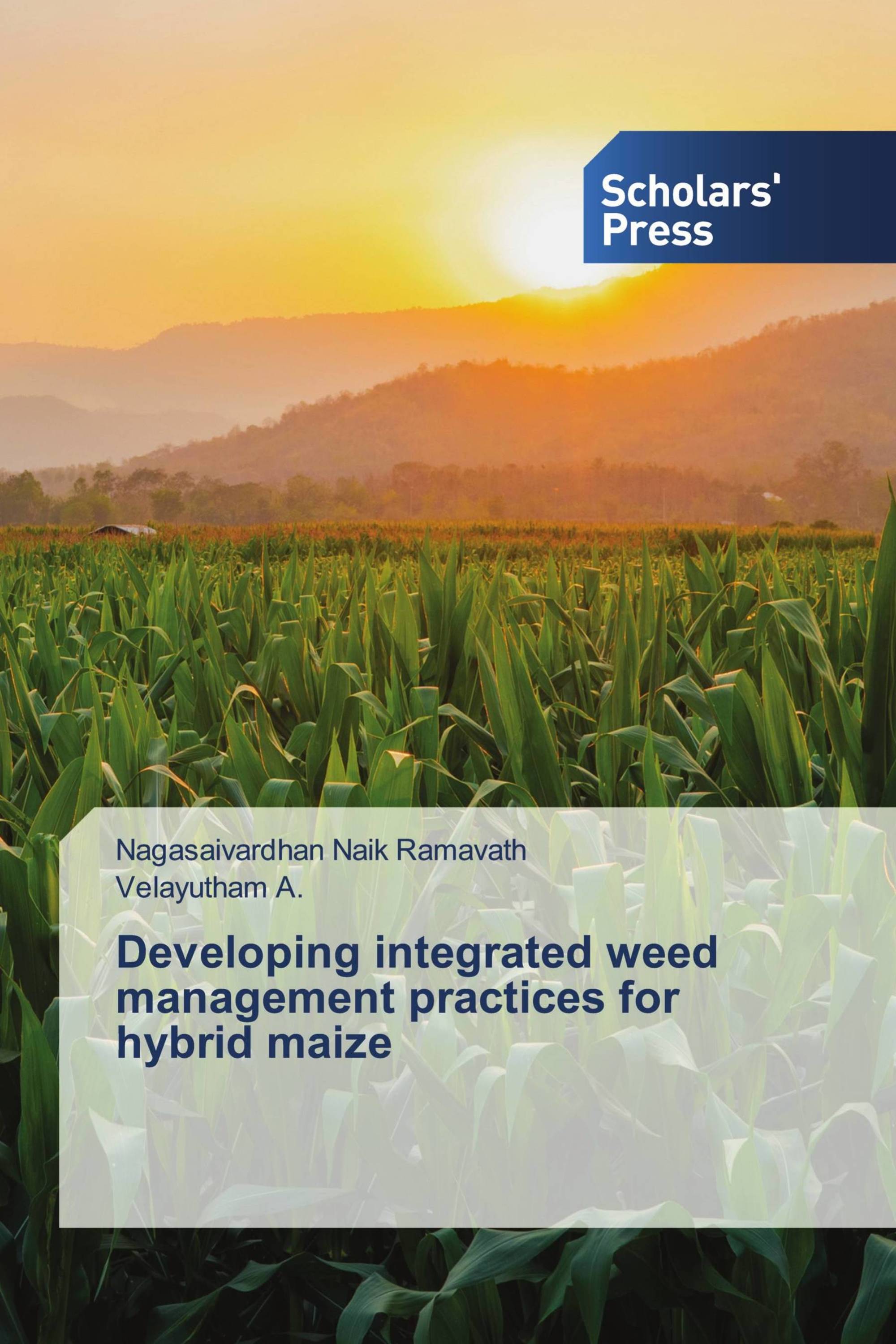 Developing integrated weed management practices for hybrid maize