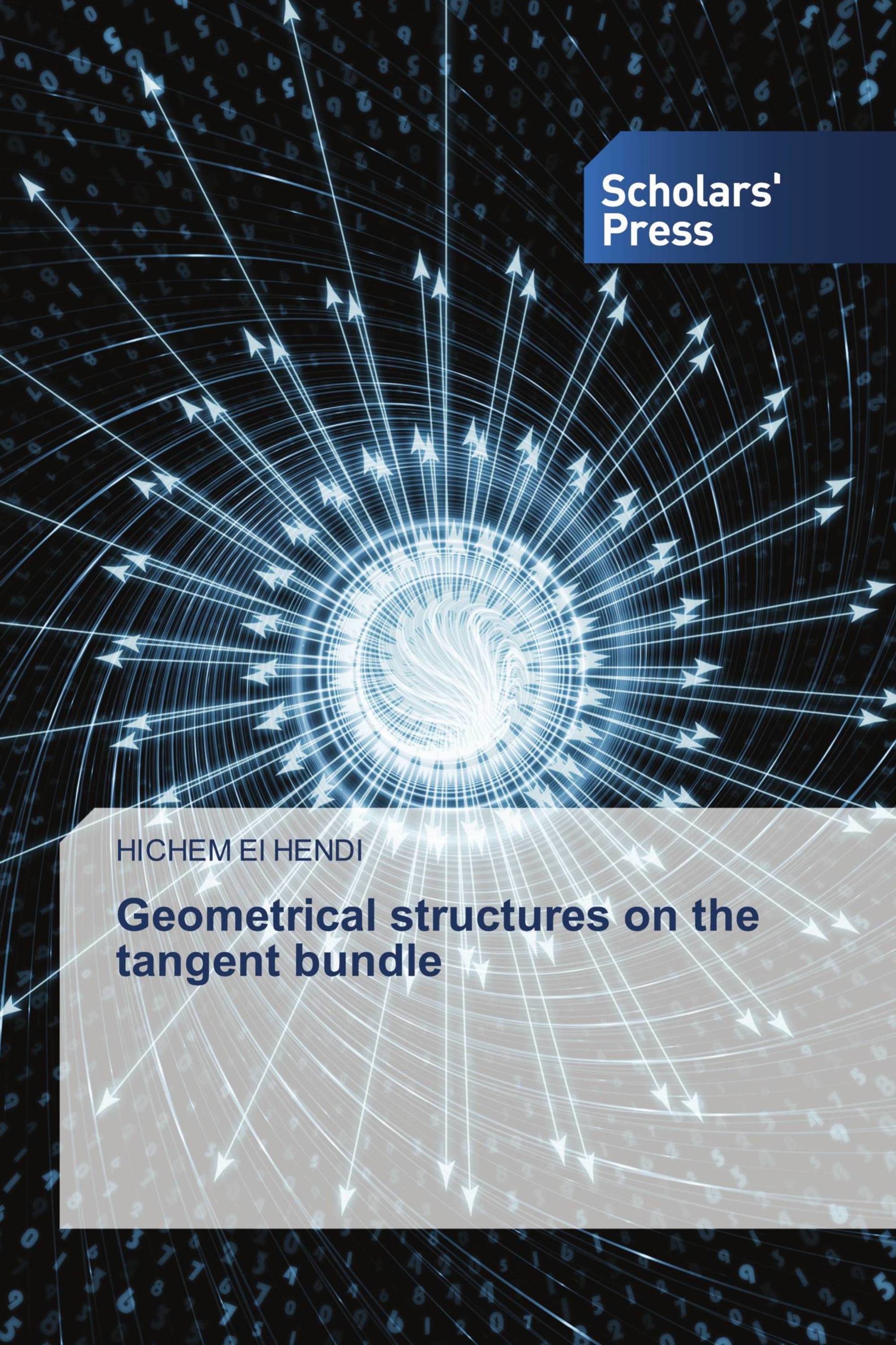 Geometrical structures on the tangent bundle