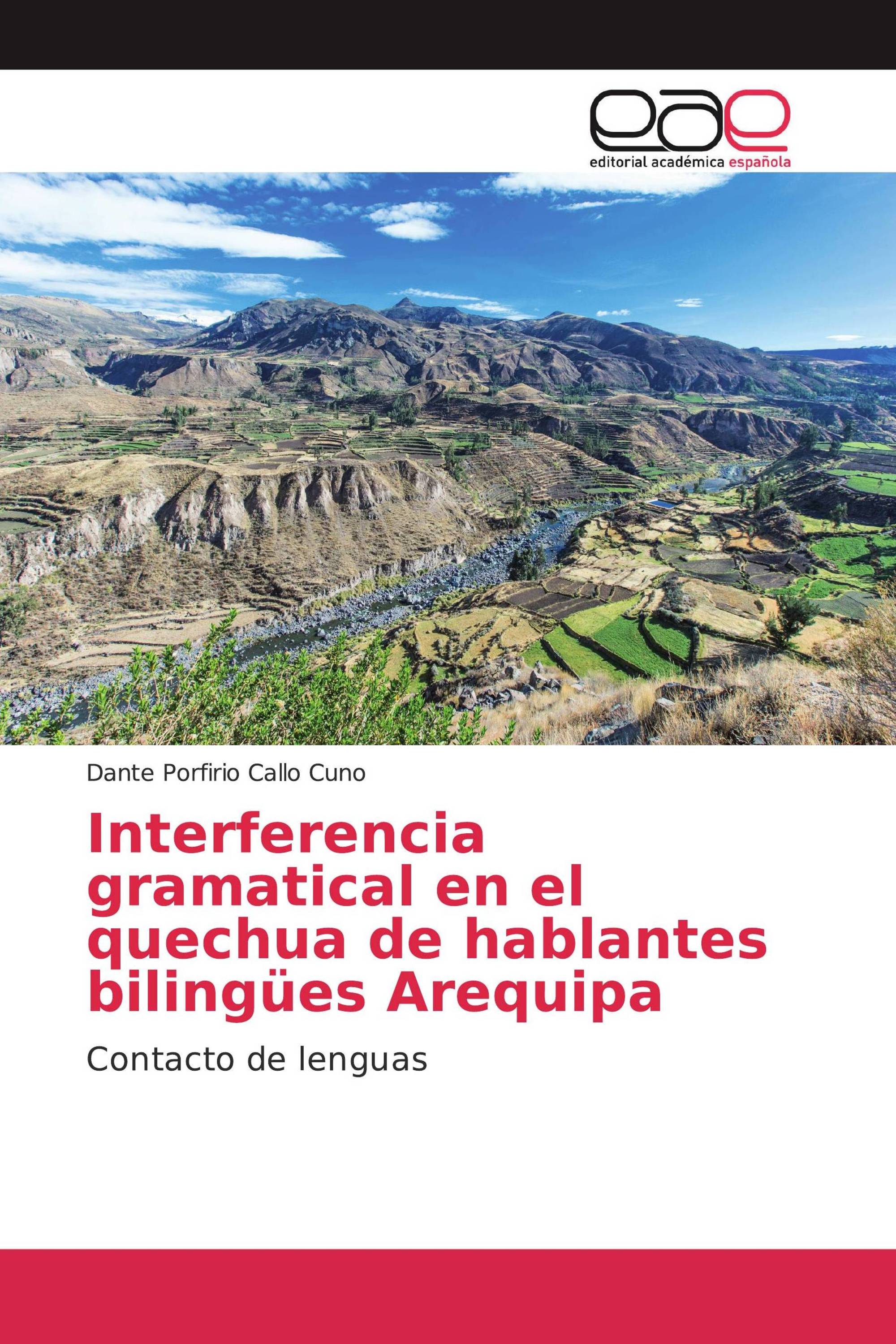 Interferencia gramatical en el quechua de hablantes bilingües Arequipa