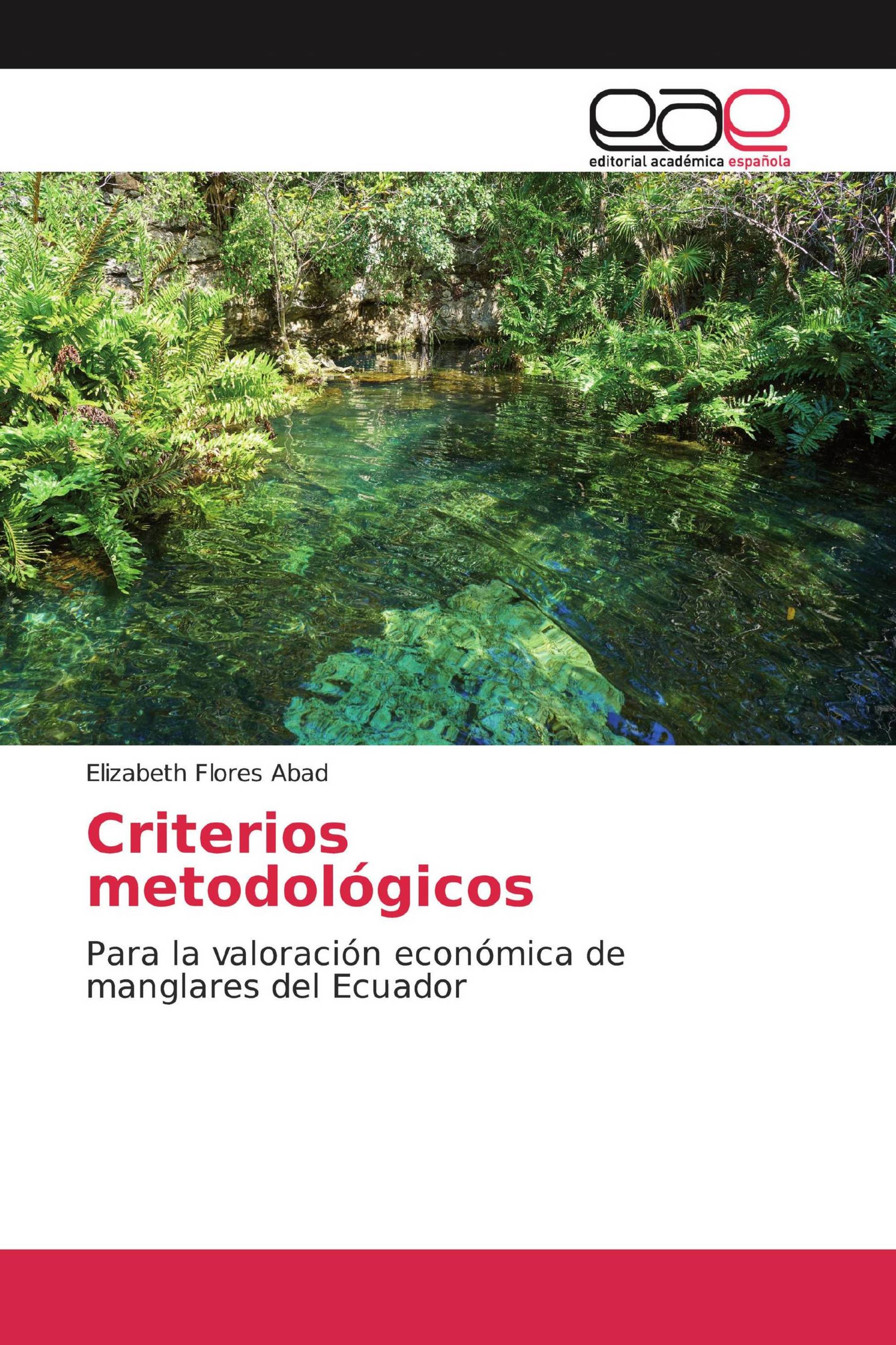 Criterios metodológicos