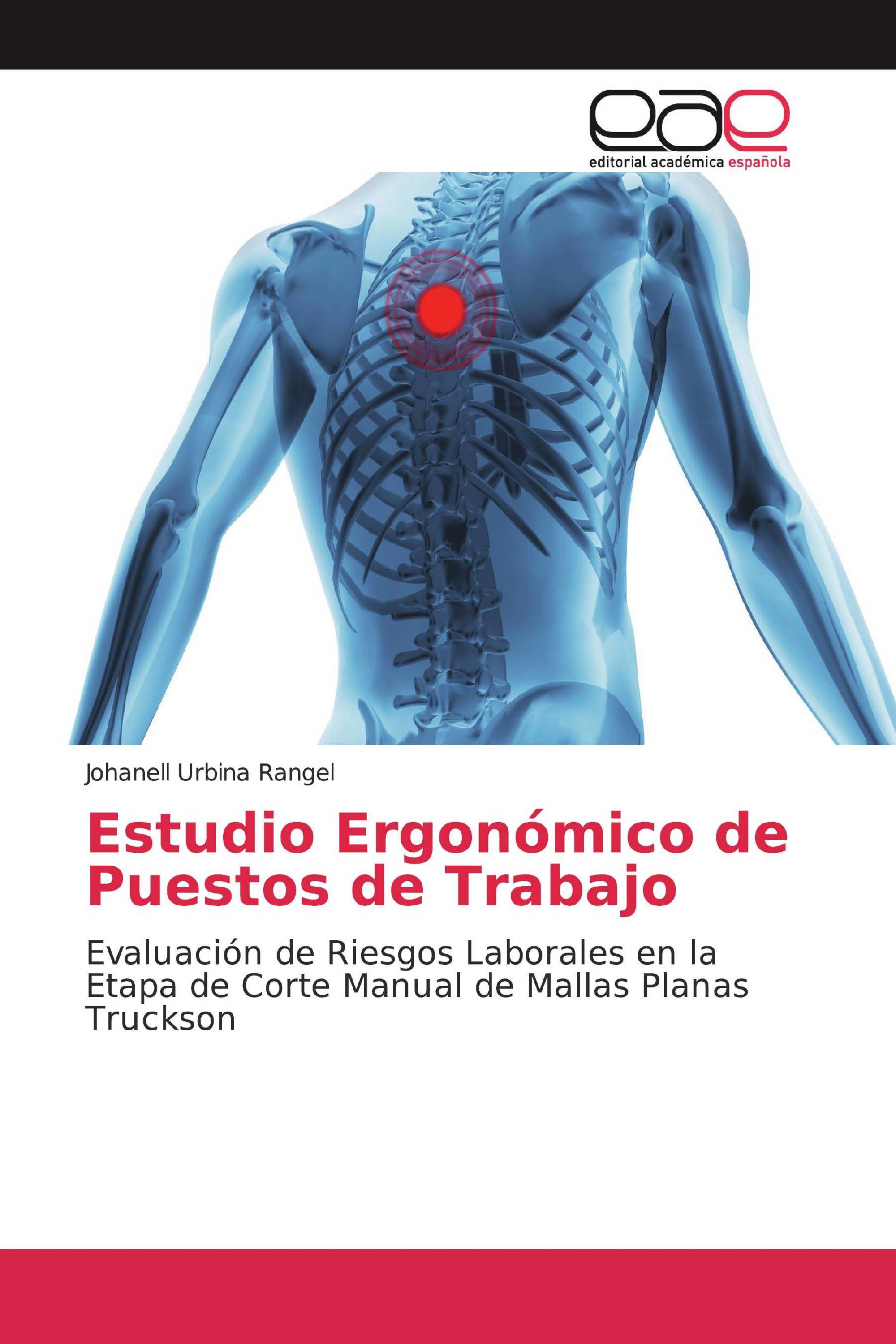 Estudio Ergonómico de Puestos de Trabajo