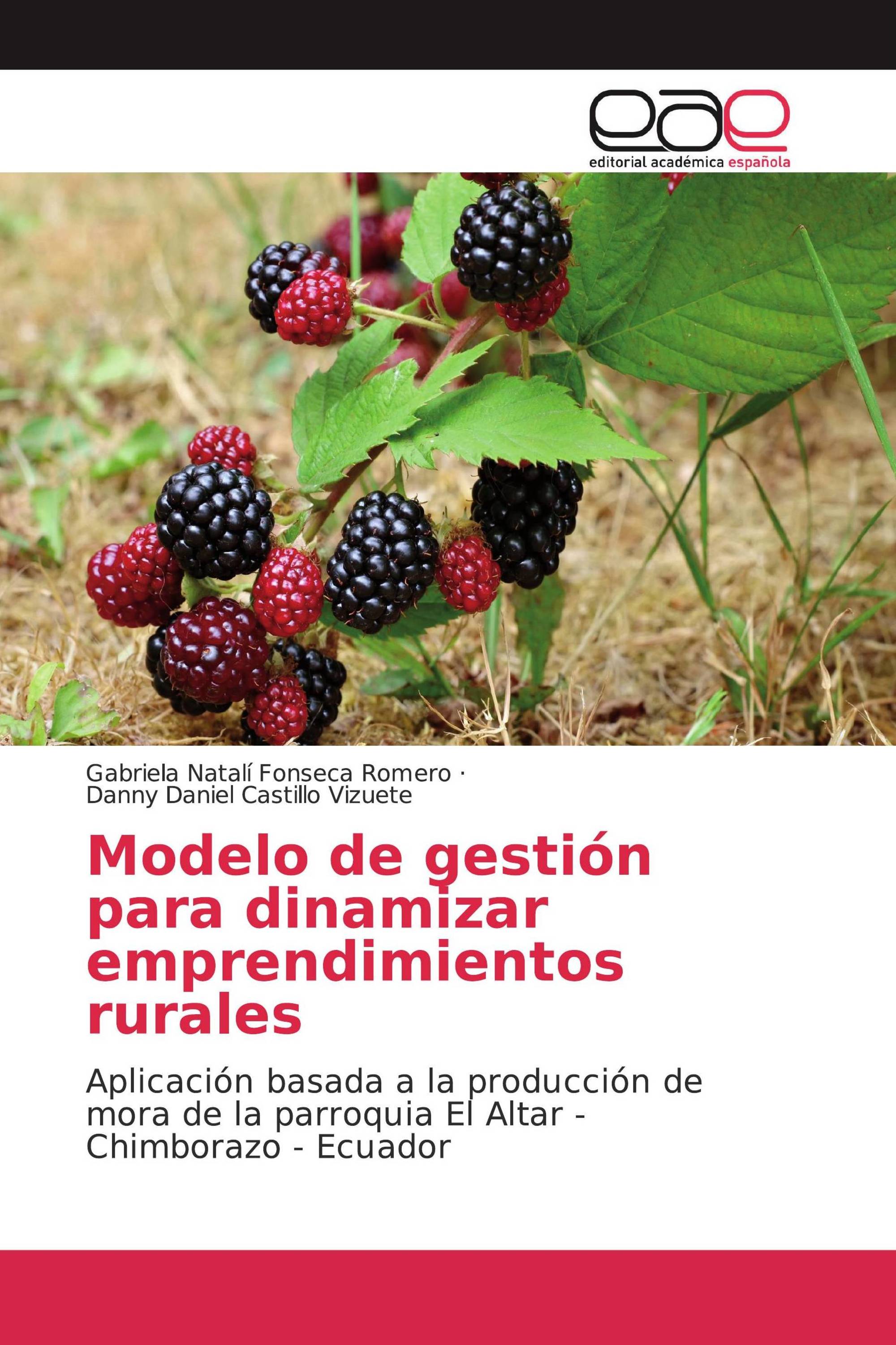 Modelo de gestión para dinamizar emprendimientos rurales