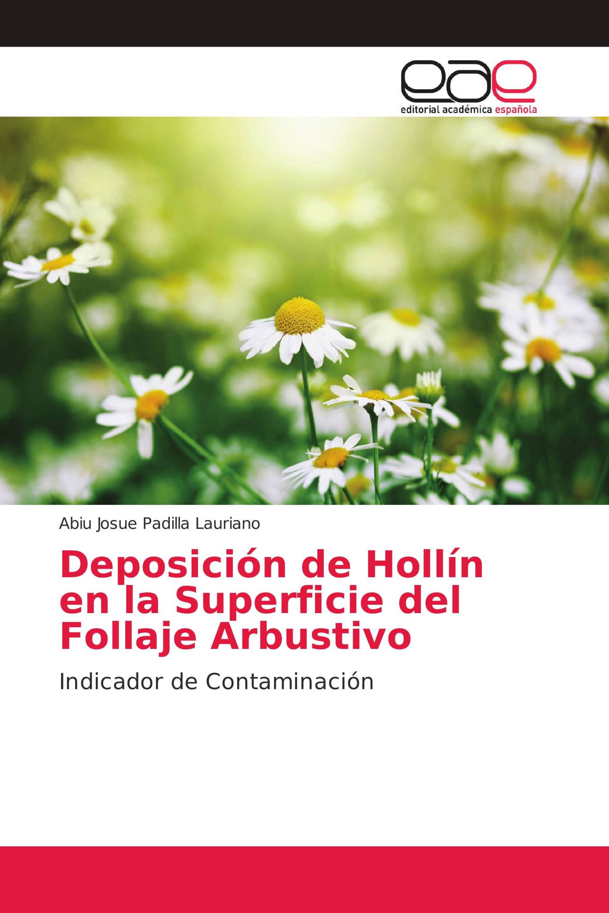 Deposición de Hollín en la Superficie del Follaje Arbustivo