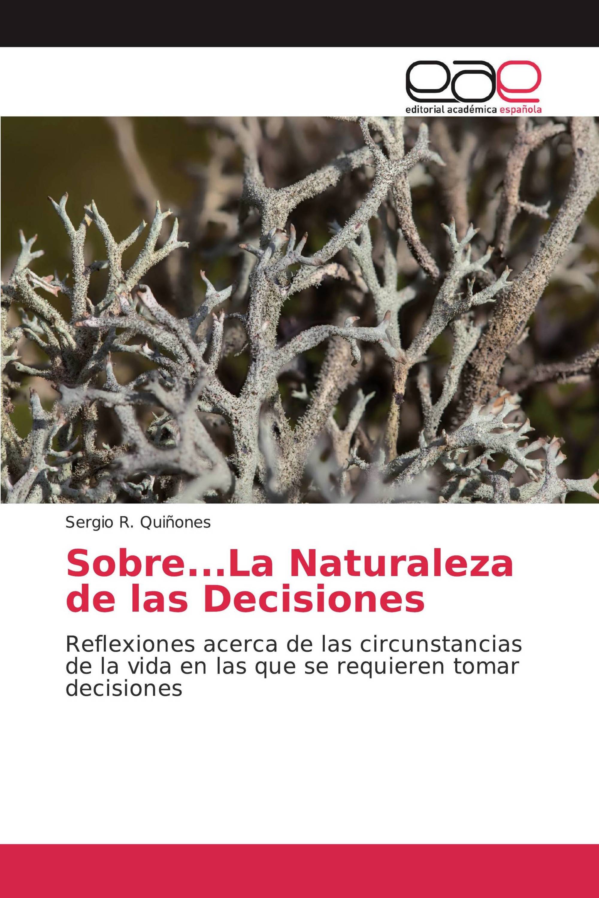 Sobre...La Naturaleza de las Decisiones