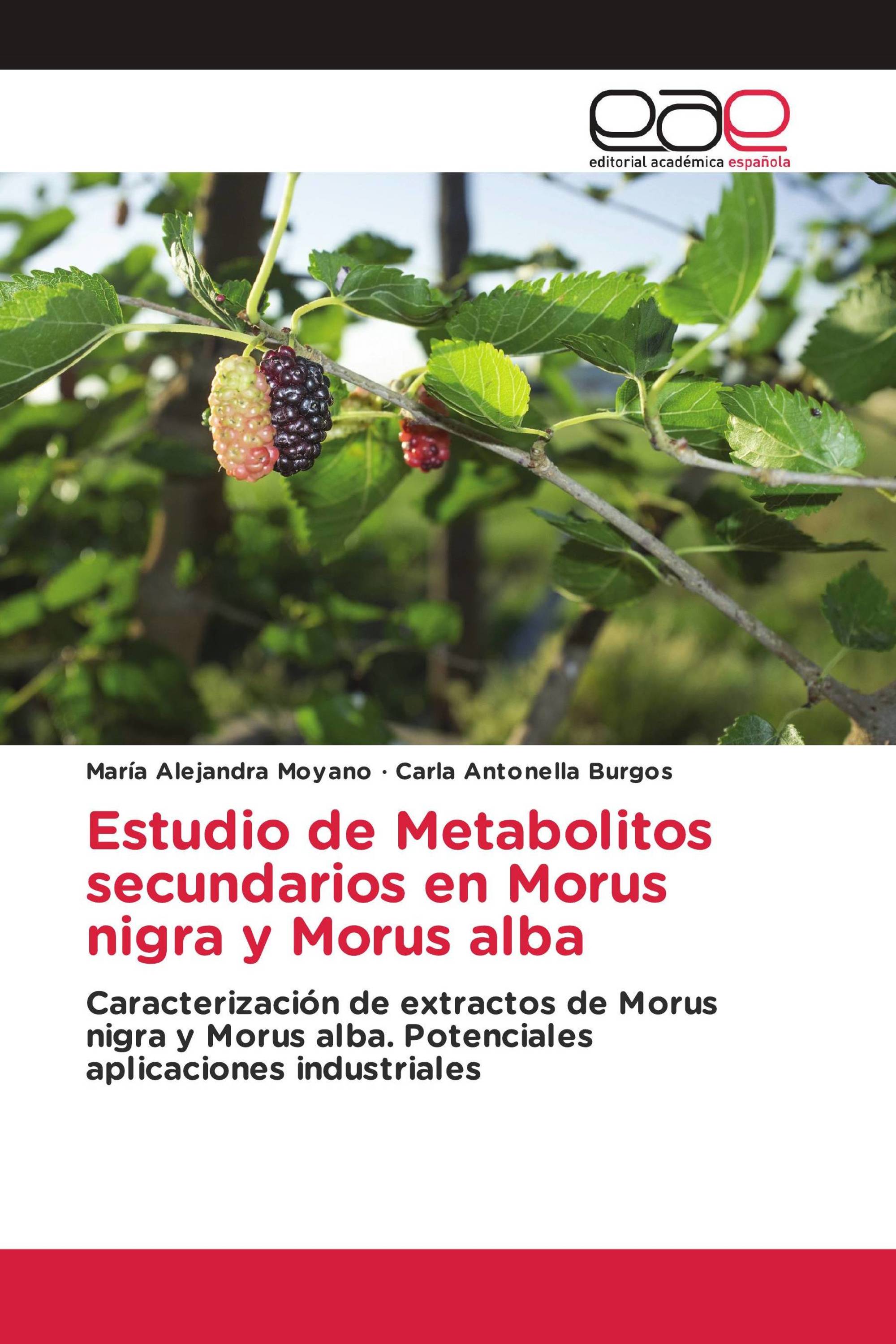 Estudio de Metabolitos secundarios en Morus nigra y Morus alba