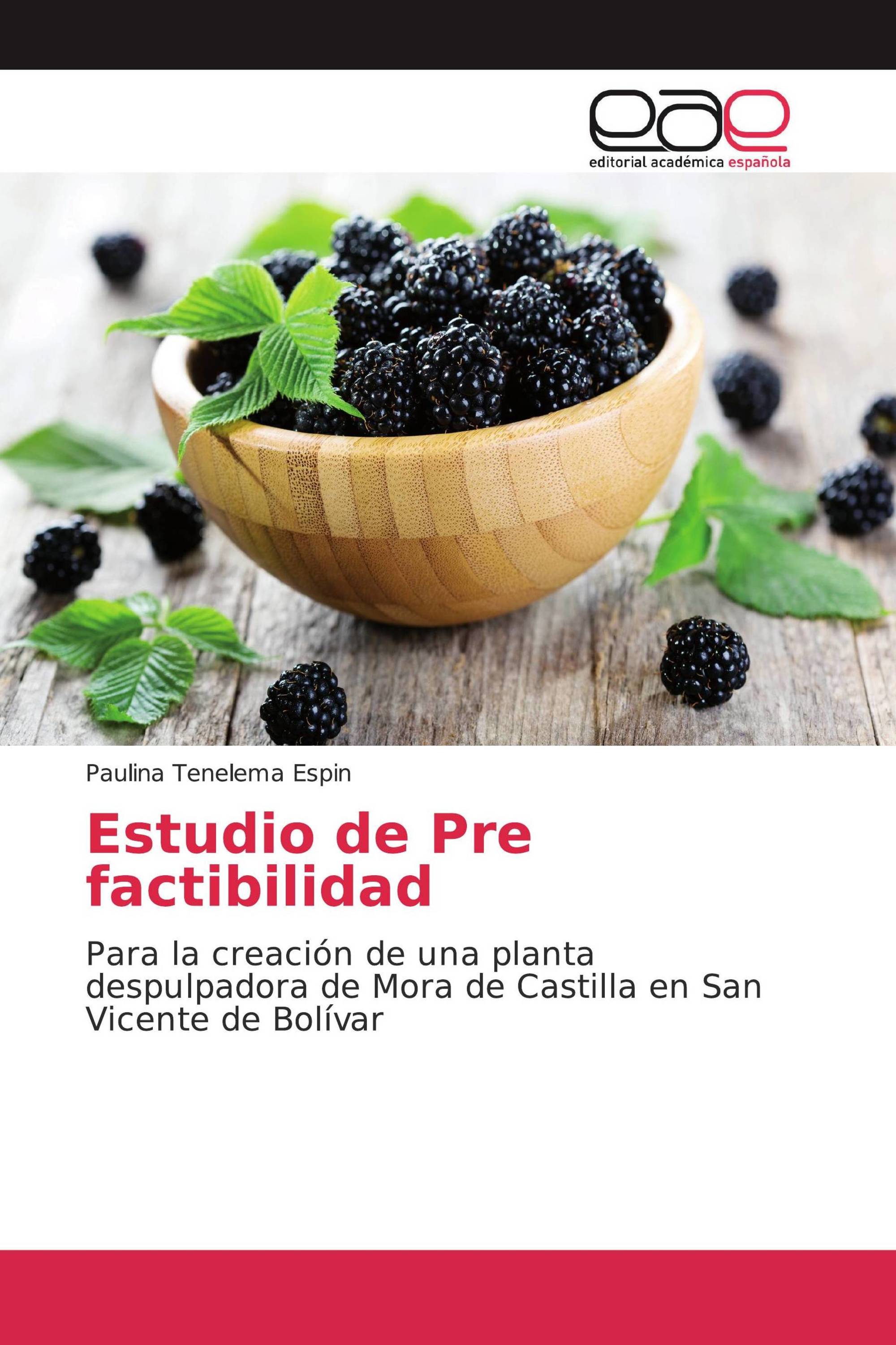 Estudio de Pre factibilidad