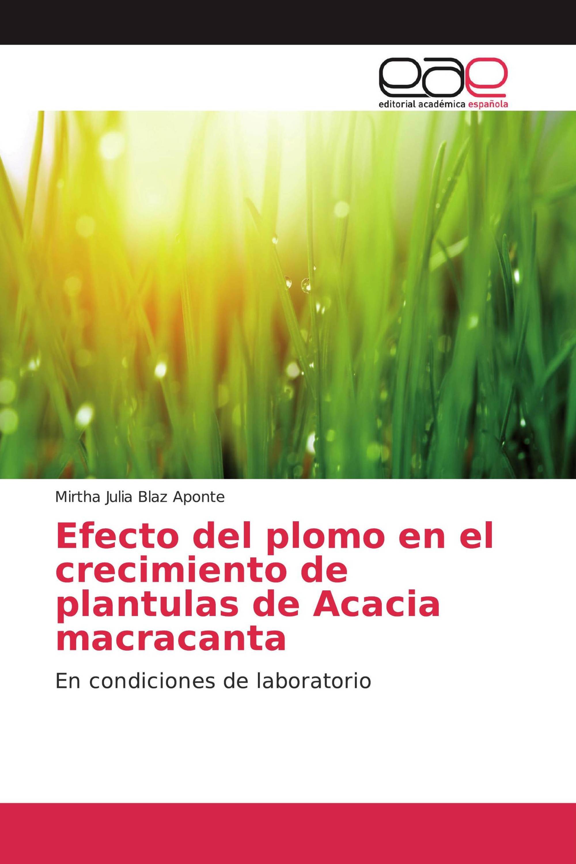 Efecto del plomo en el crecimiento de plantulas de Acacia macracanta