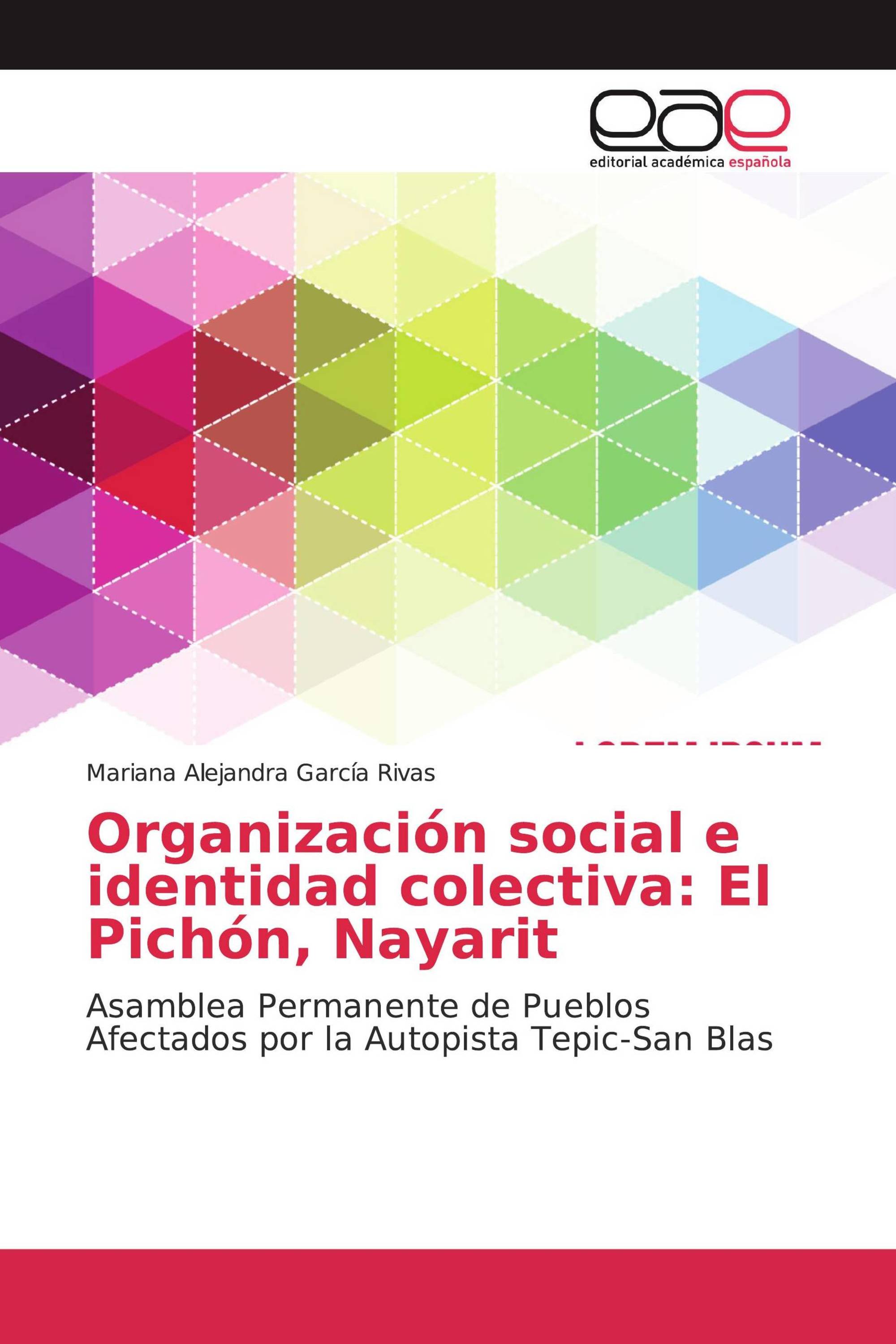 Organización social e identidad colectiva: El Pichón, Nayarit