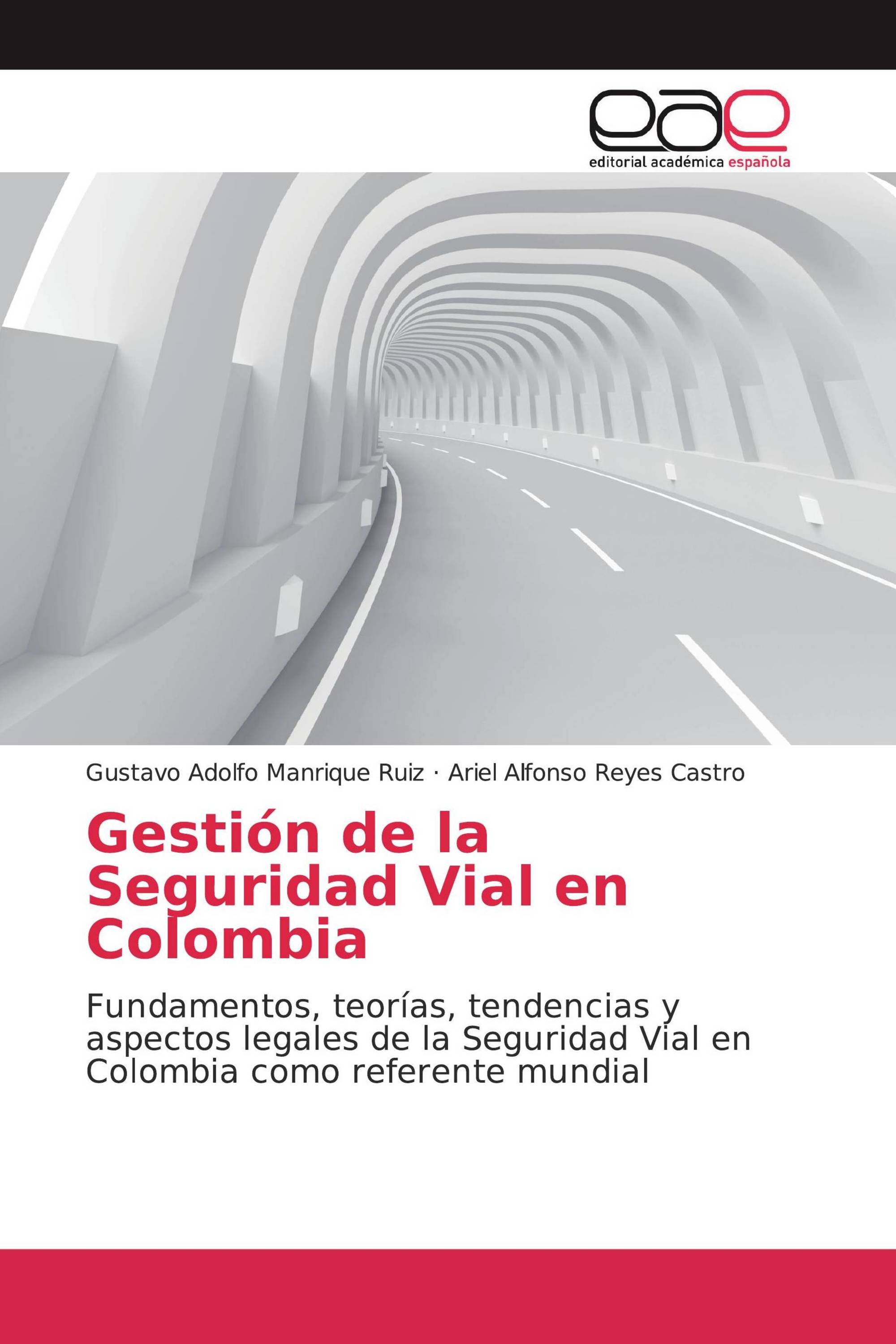 Gestión de la Seguridad Vial en Colombia