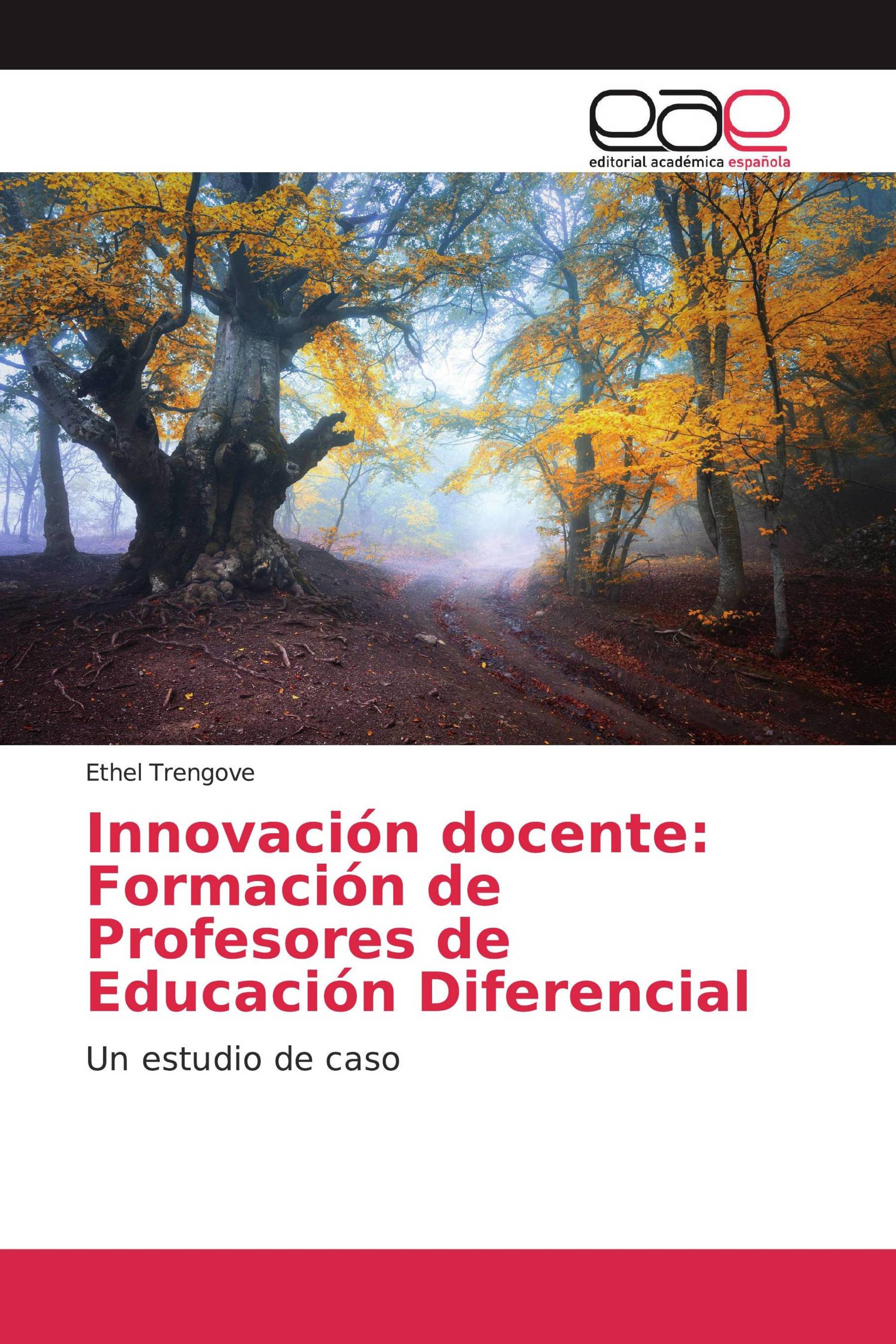 Innovación docente: Formación de Profesores de Educación Diferencial